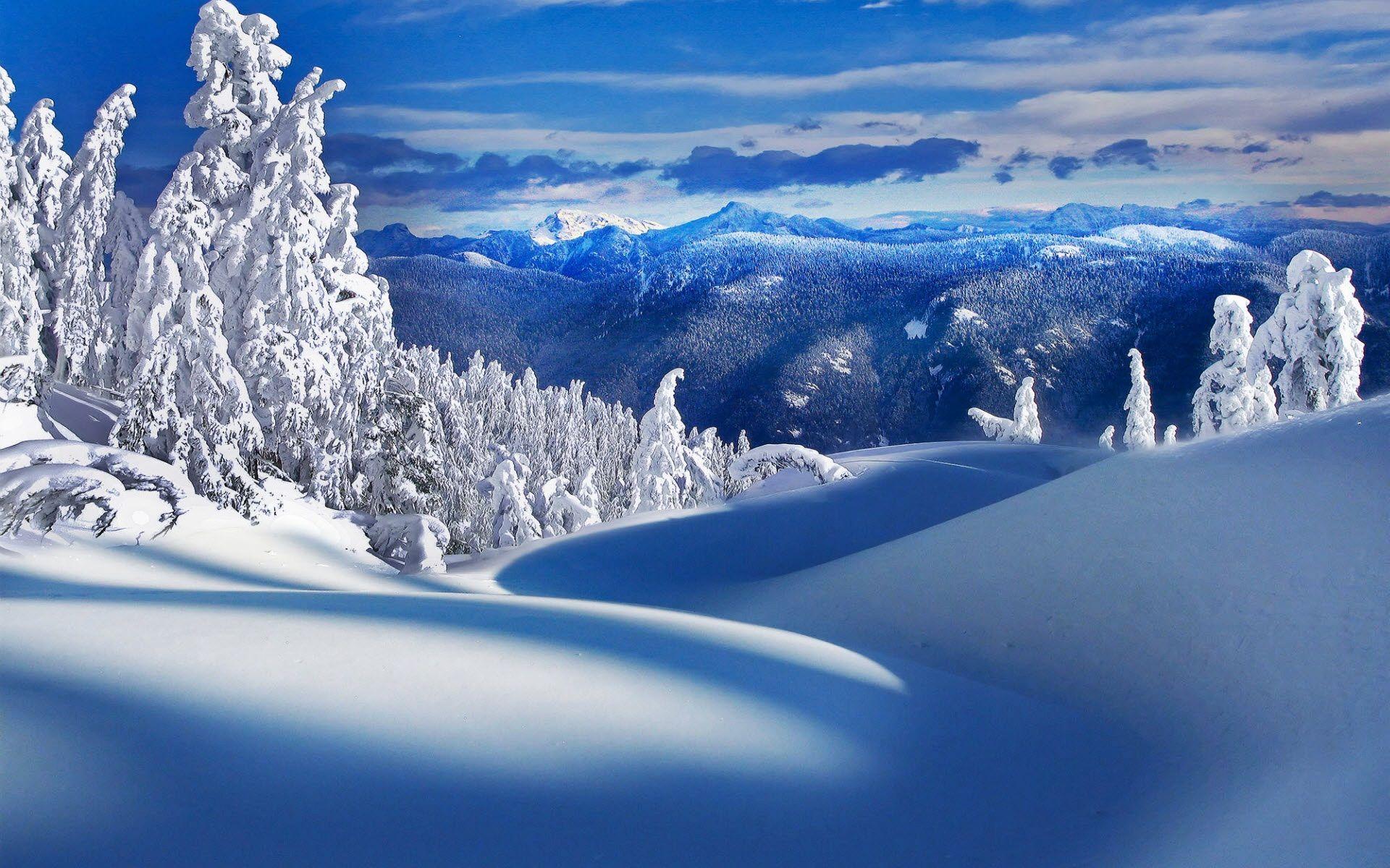 1920x1200 Winter Ice PC Wallpaper