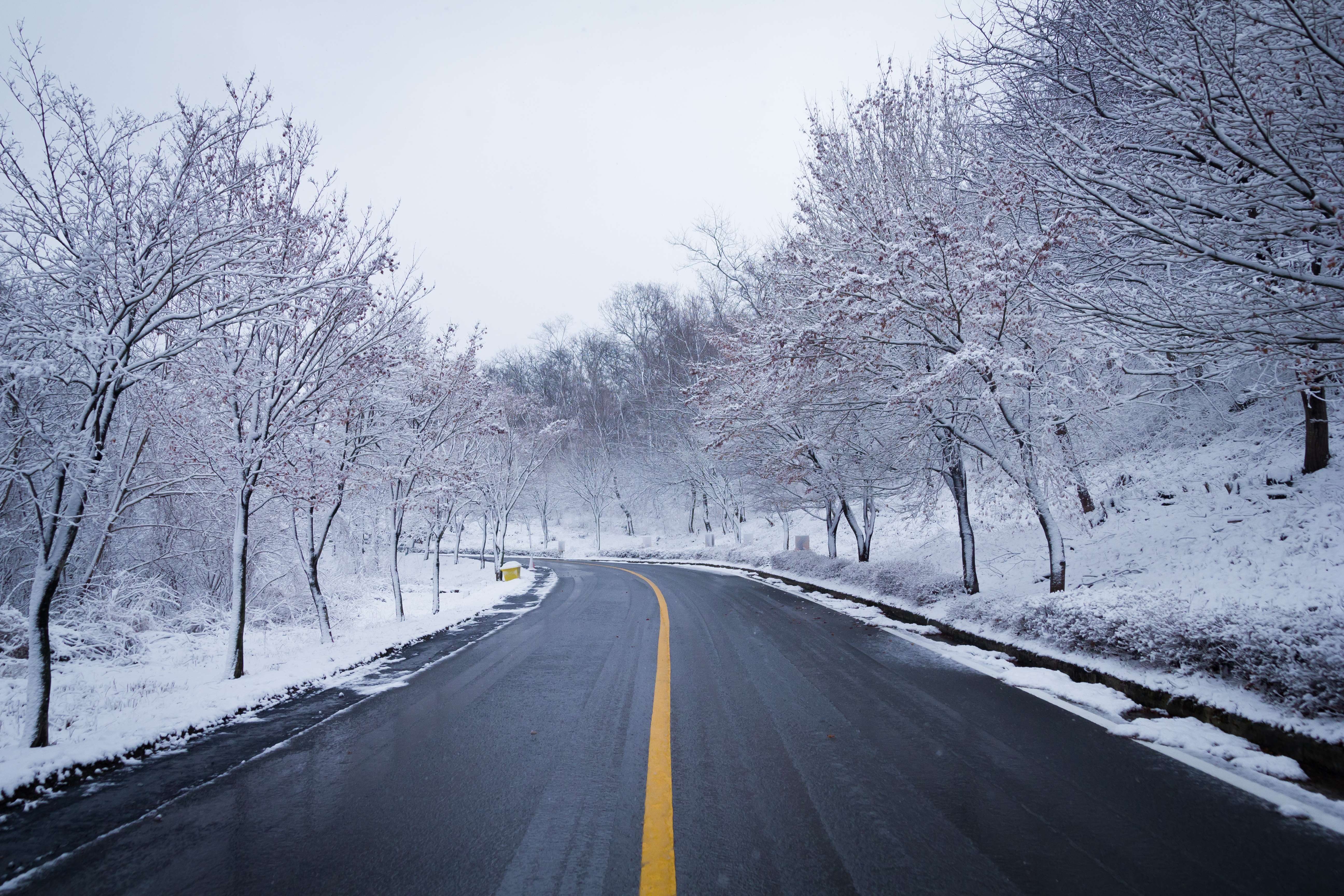 5184x3456 Winter Road Wallpaper HD