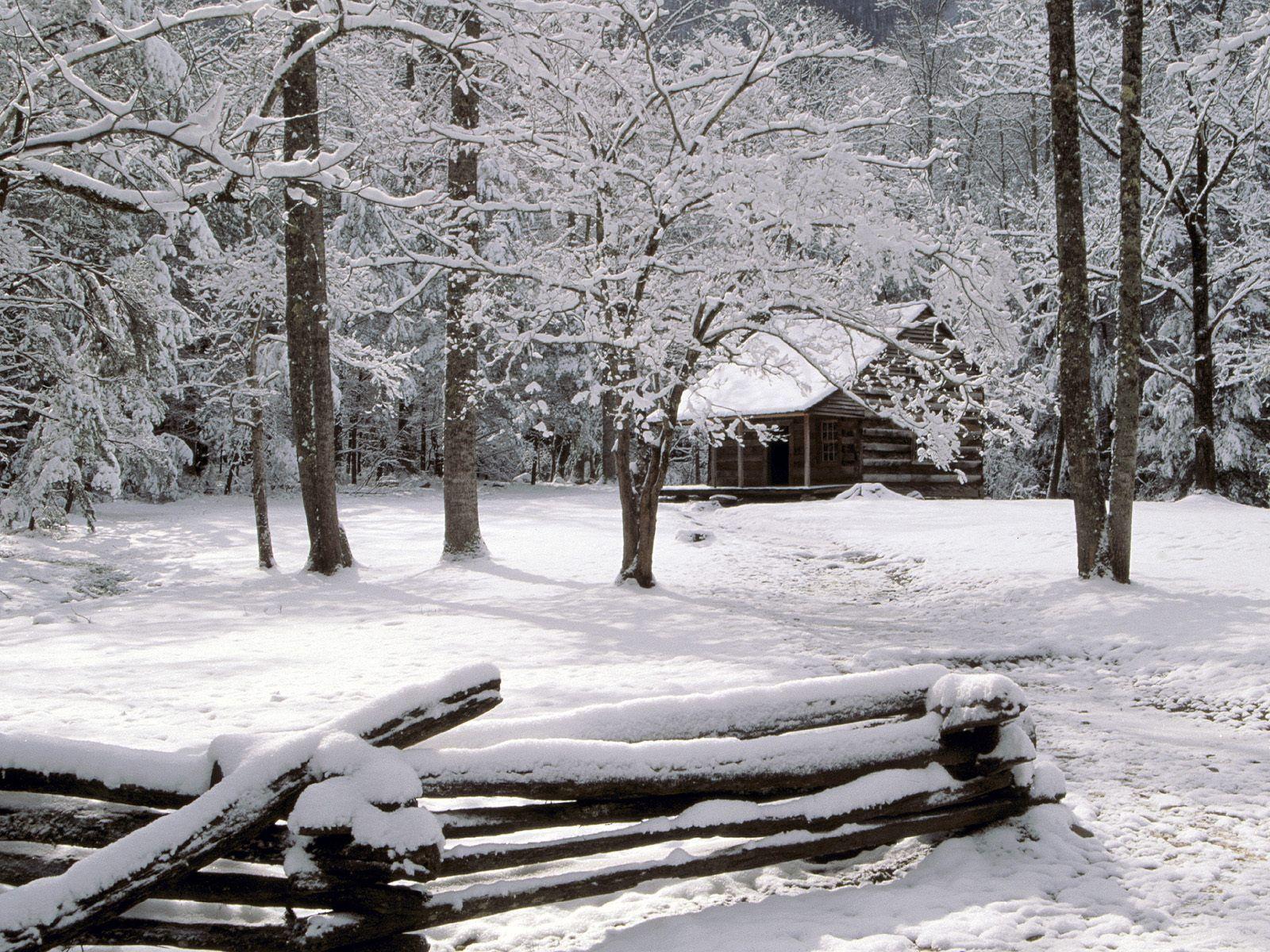 1600x1200 Beautiful Ice Winter Hd Wallpaper Free For Desktop