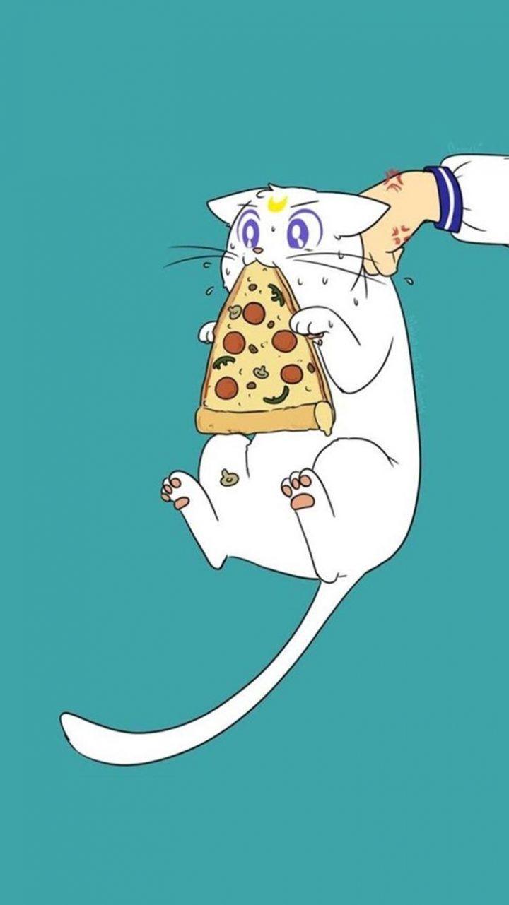 720x1281 Artemis Sailor Moon Cat Wallpaper & Background Download