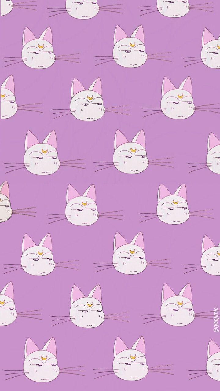 Sailor Moon Cat Wallpapers - Top Free Sailor Moon Cat Backgrounds