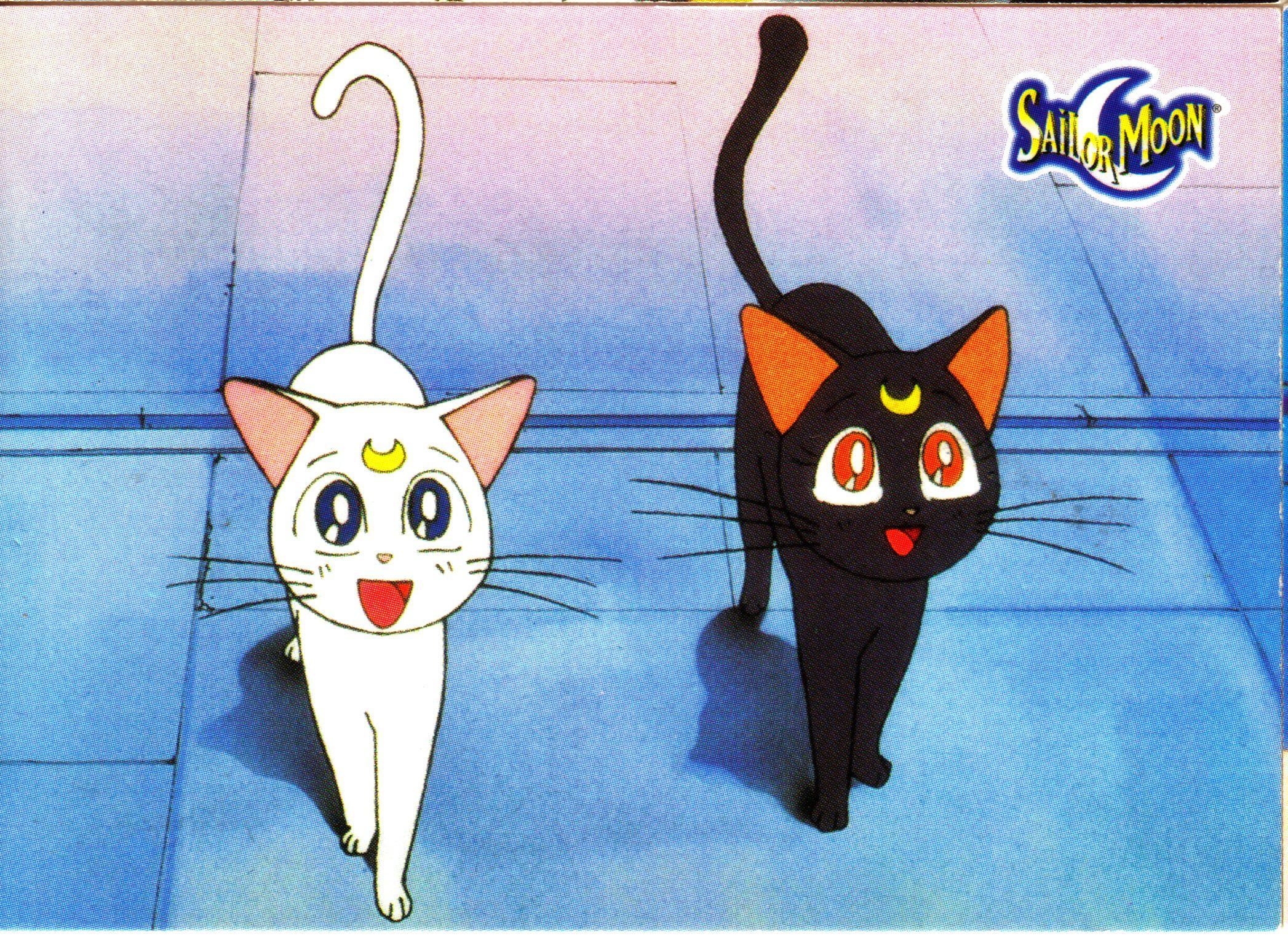 Sailor Moon Cat Wallpapers Top Free Sailor Moon Cat Backgrounds Wallpaperaccess