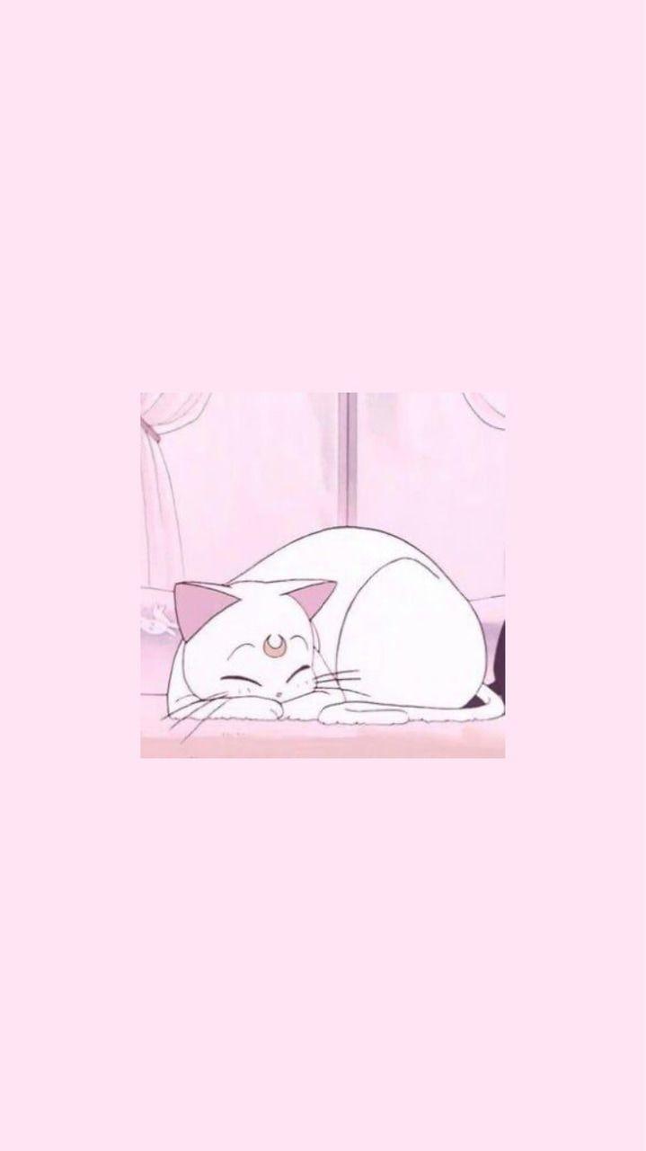 719x1280 Artemis Sailor Moon Wallpaper Discovered