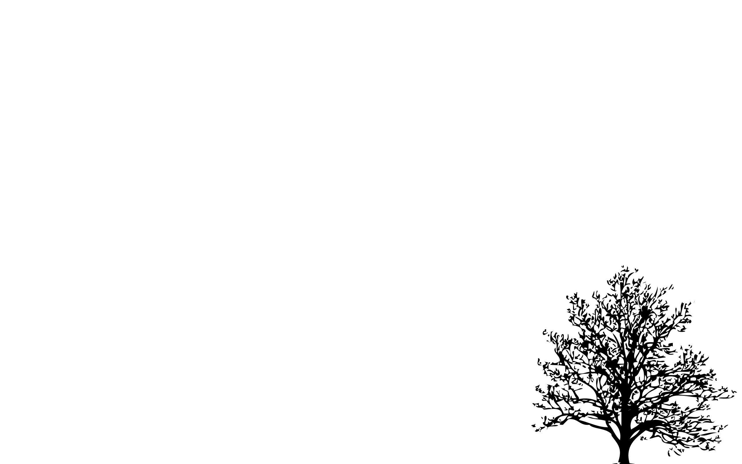 2560x1600 Minimalist Desktop Wallpaper HD Tumblr