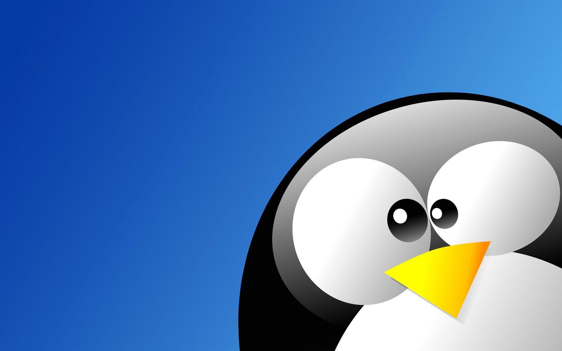1920x1200 Linux Penguin Wallpaper
