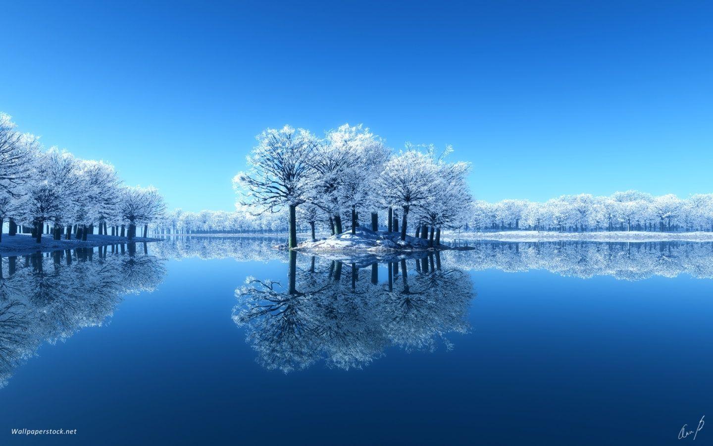 1440x900 Stunning Winter Scenery wallpaperx900