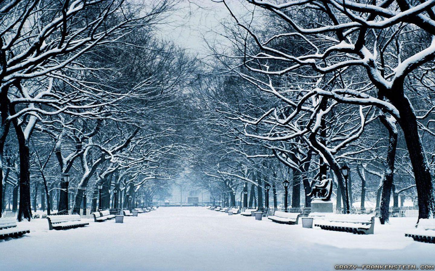 1440x900 Beautiful Winter Wallpaper For Your Desktop Hongkiat 1440x900