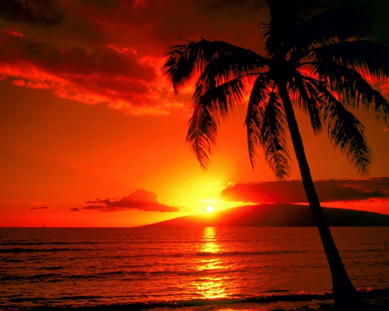 1280x1024 Free download Tropical Paradise Wallpaper Hawaii Maldives Tahiti Islands Beach [1920x1080] for your Desktop, Mobile & Tablet. Explore Tropical Beach Sunset Wallpaper Desktop. Beach Sunsets Wallpaper, Free Tropical Desktop