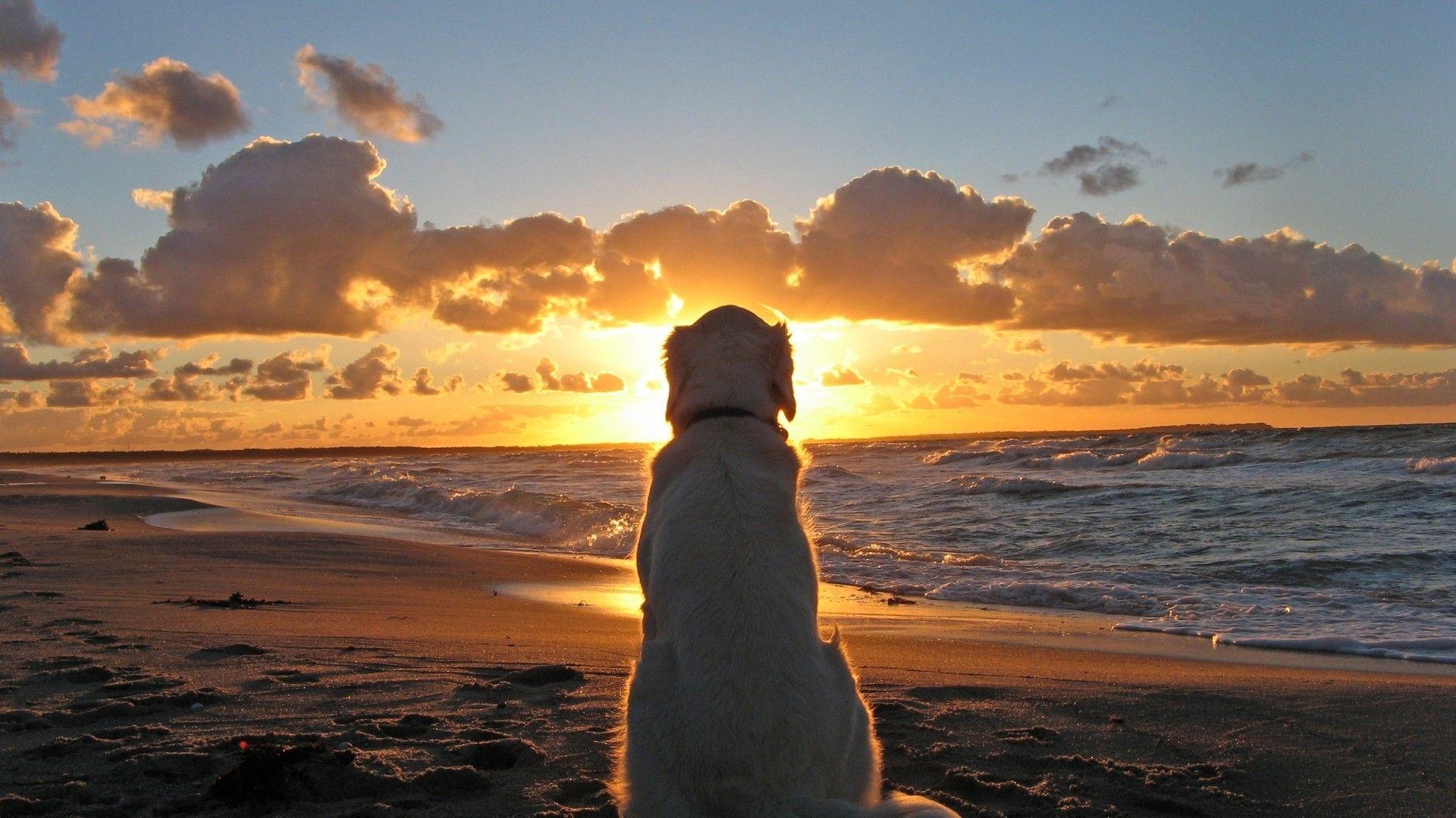 1920x1080 Beach Sunset Wallpaper Photo Looking At Sun