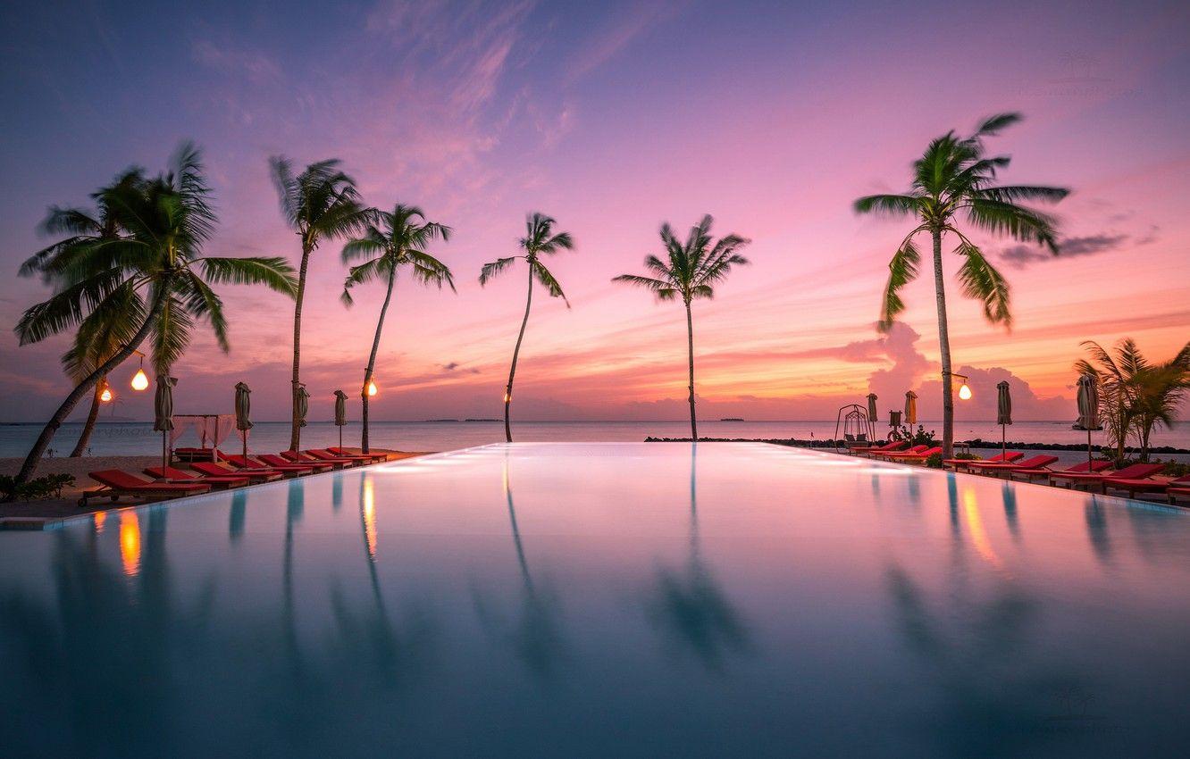 1332x850 Wallpaper sunset, tropics, palm trees, the ocean, pool, Maldives, The Indian ocean, Indian Ocean, Malediwy image for desktop, section пейзажи