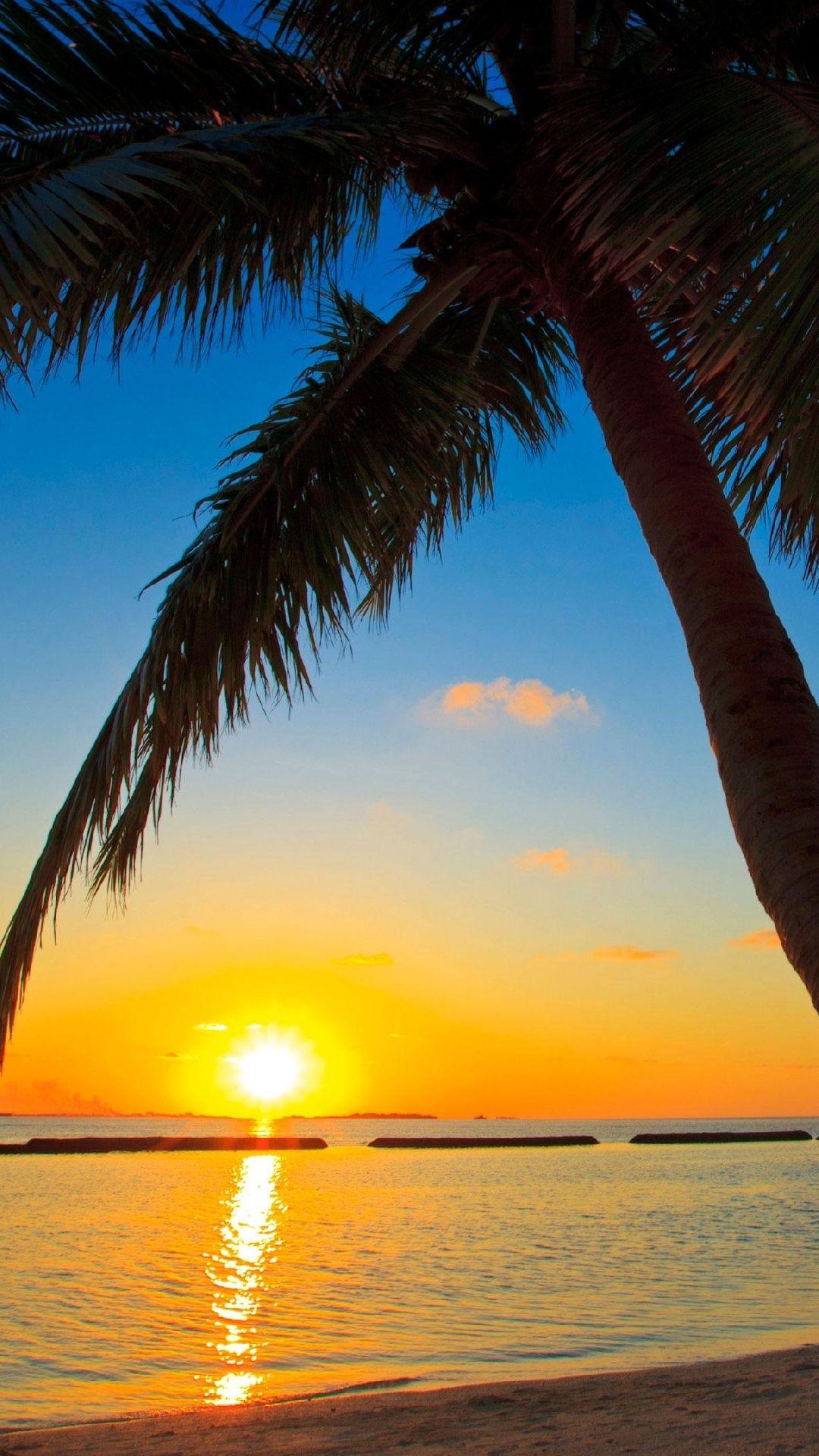 1080x1920 Free iPhone Wallpaper My HD Beaches At Sunset