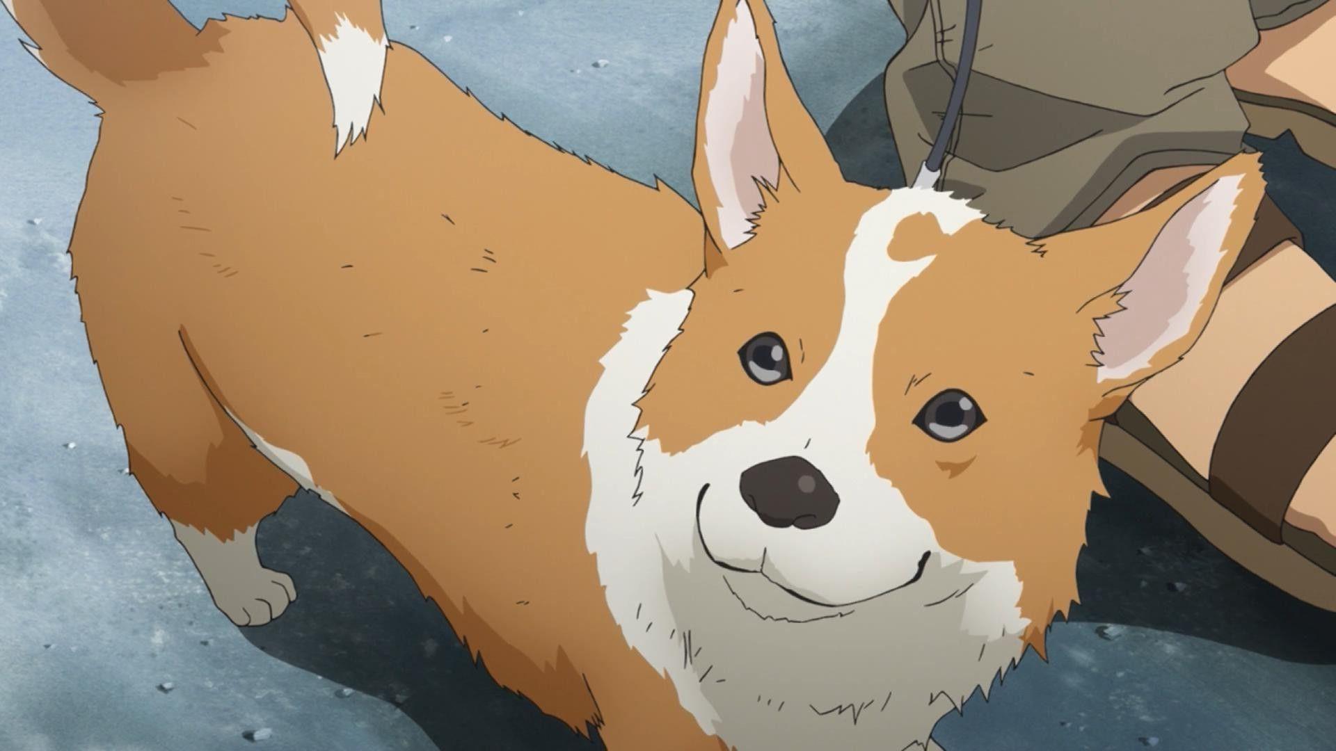 Anime Corgi Wallpapers - Top Free Anime Corgi Backgrounds - WallpaperAccess