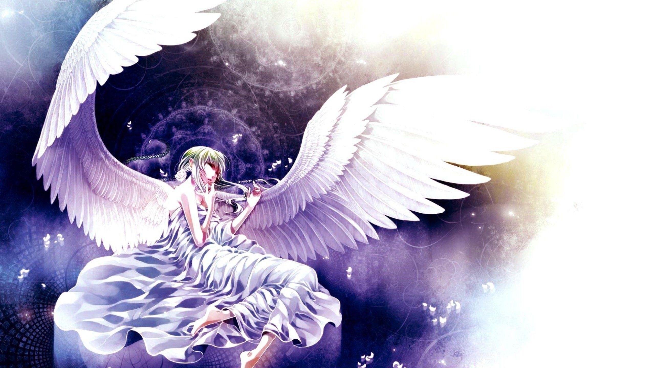 2560x1440 Male Anime Vampire Wallpaper