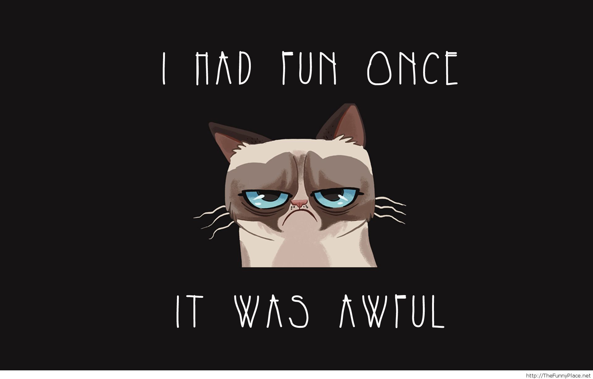 1920x1228 Funny wallpaper tumblr
