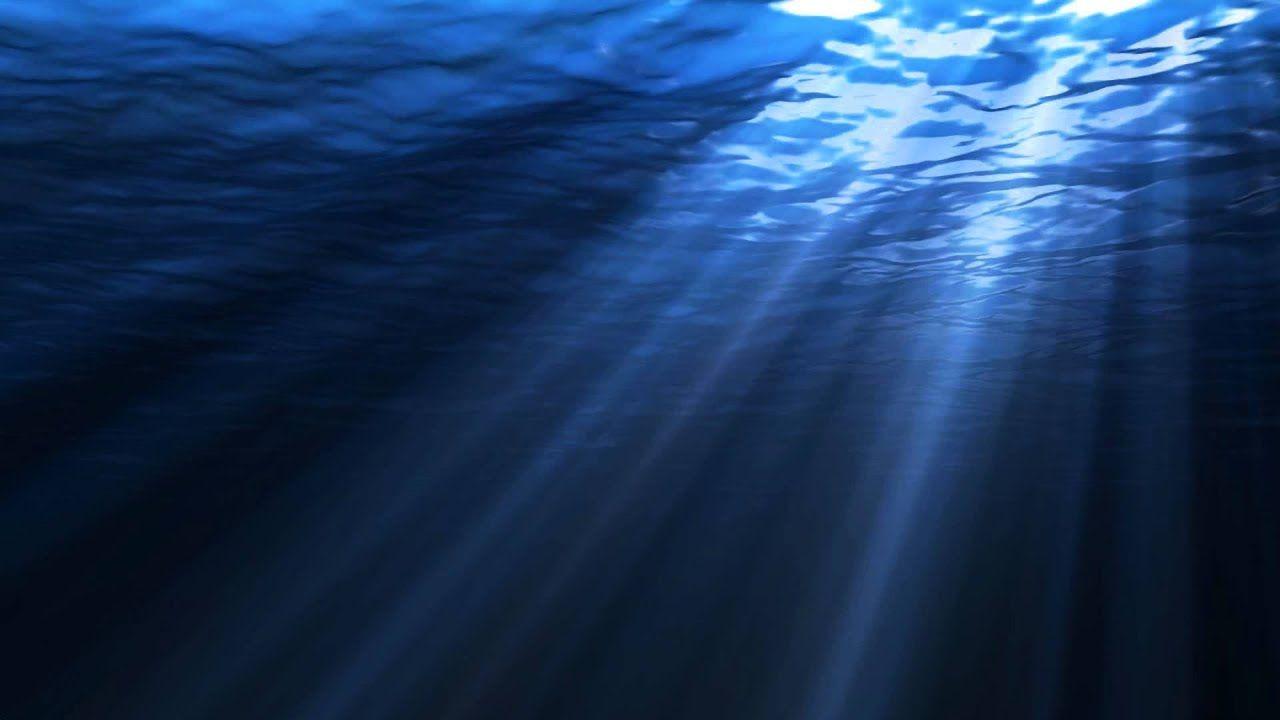 1280x720 Simple Minds Waterfront HQ. Underwater background, Underwater wallpaper, Under the sea background