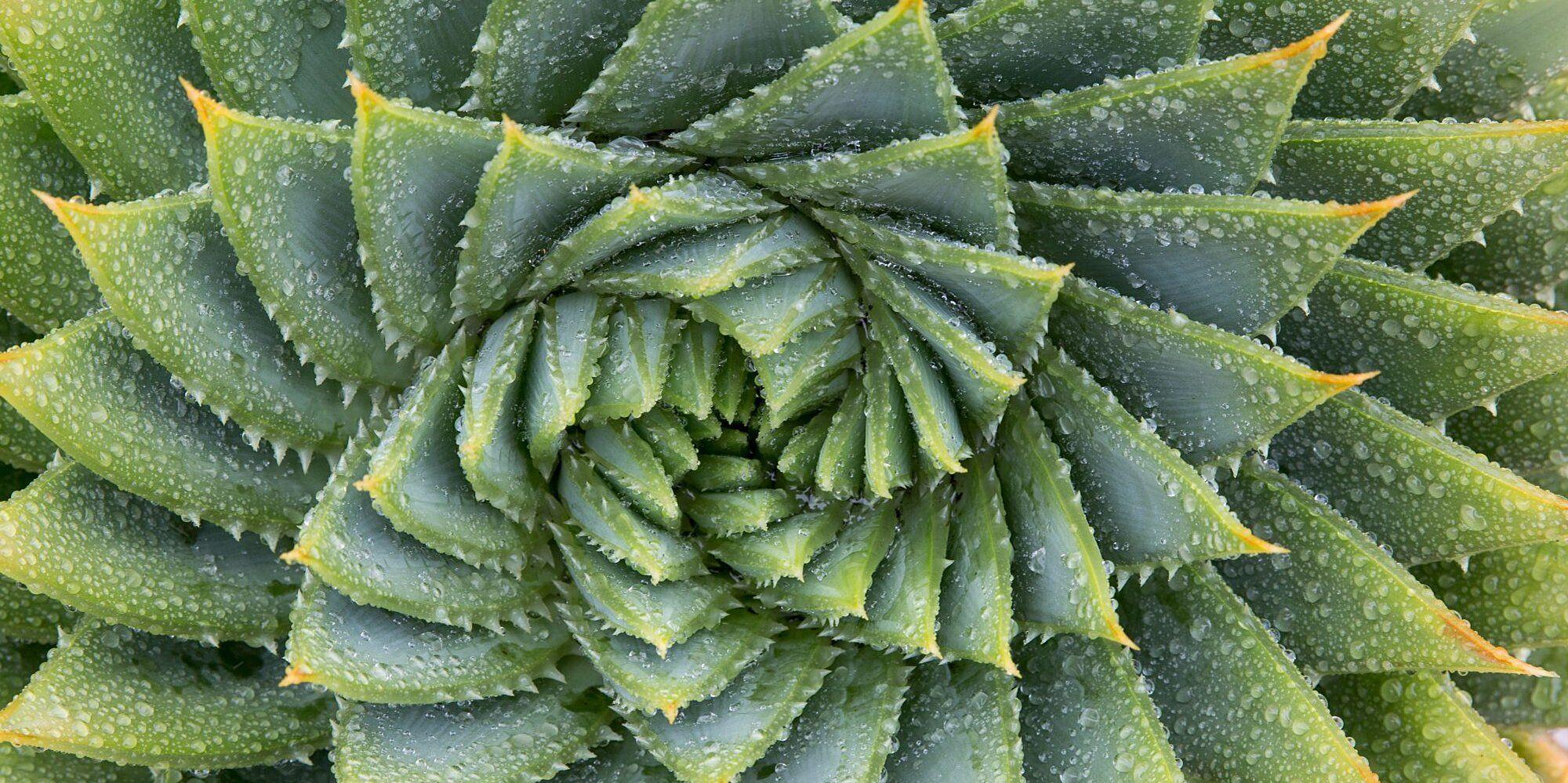 2000x999 Relaxing Image That Will Bring You Instant Calm
