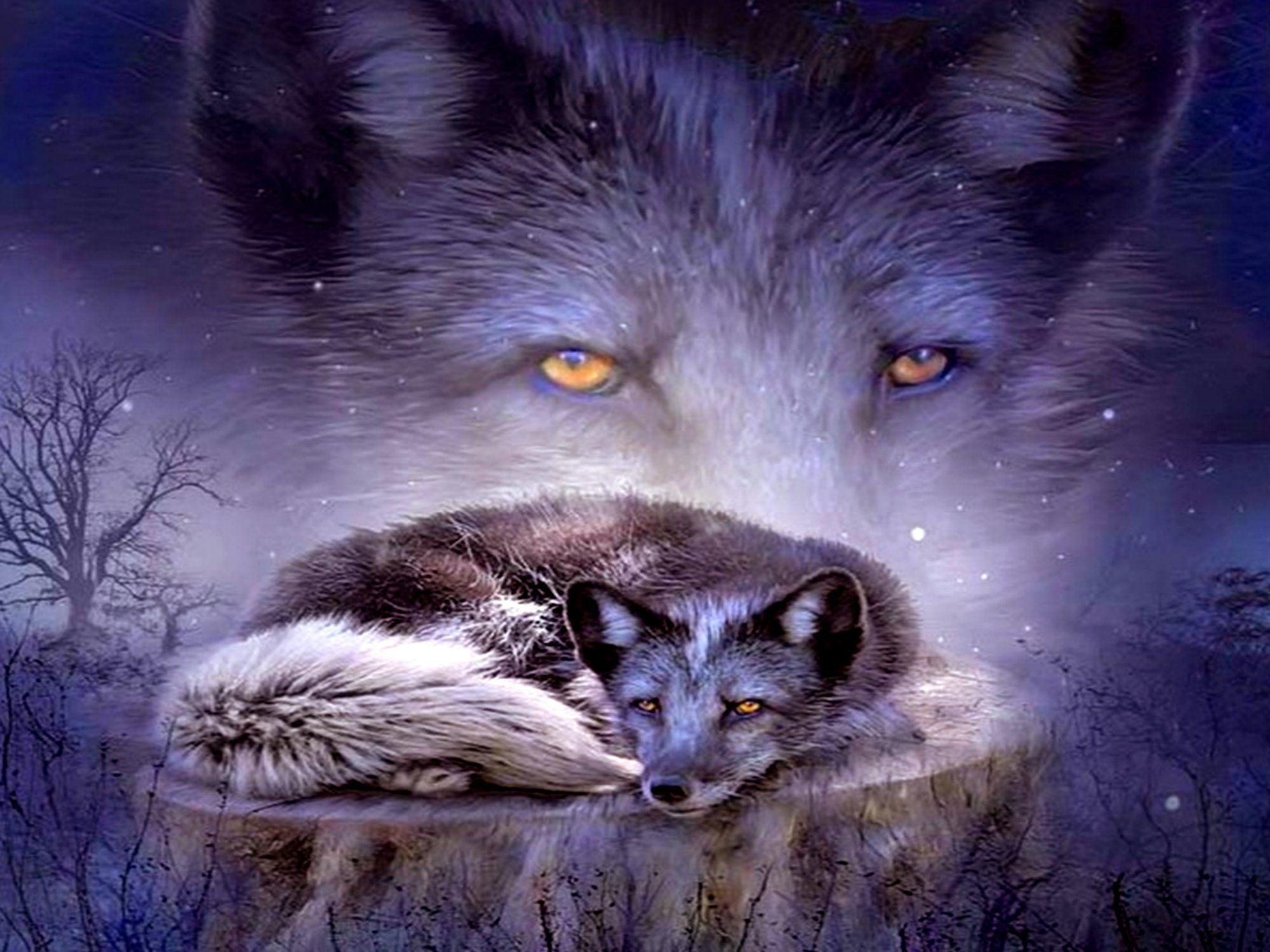 2000x1500 Free download Anime Fox Spirit Wallpaper HD I HD Image [2000x1500] for your Desktop, Mobile & Tablet. Explore Fox Wallpaper Free. Megan Fox Wallpaper Hd, HD Fox Wallpaper, Fox