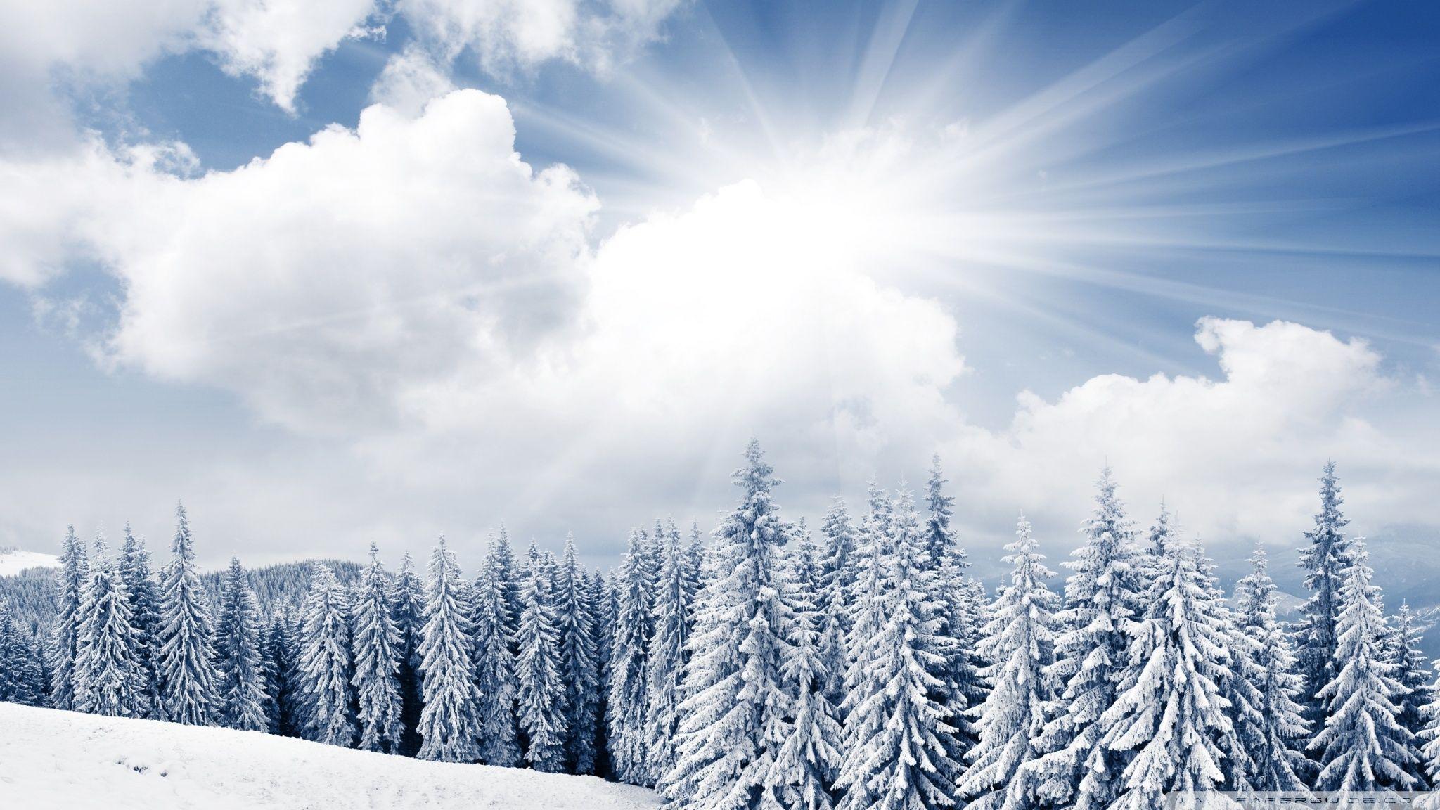 2048x1152 Hd 16 - Screen Wallpaper Winter Wallpaper & Background Download