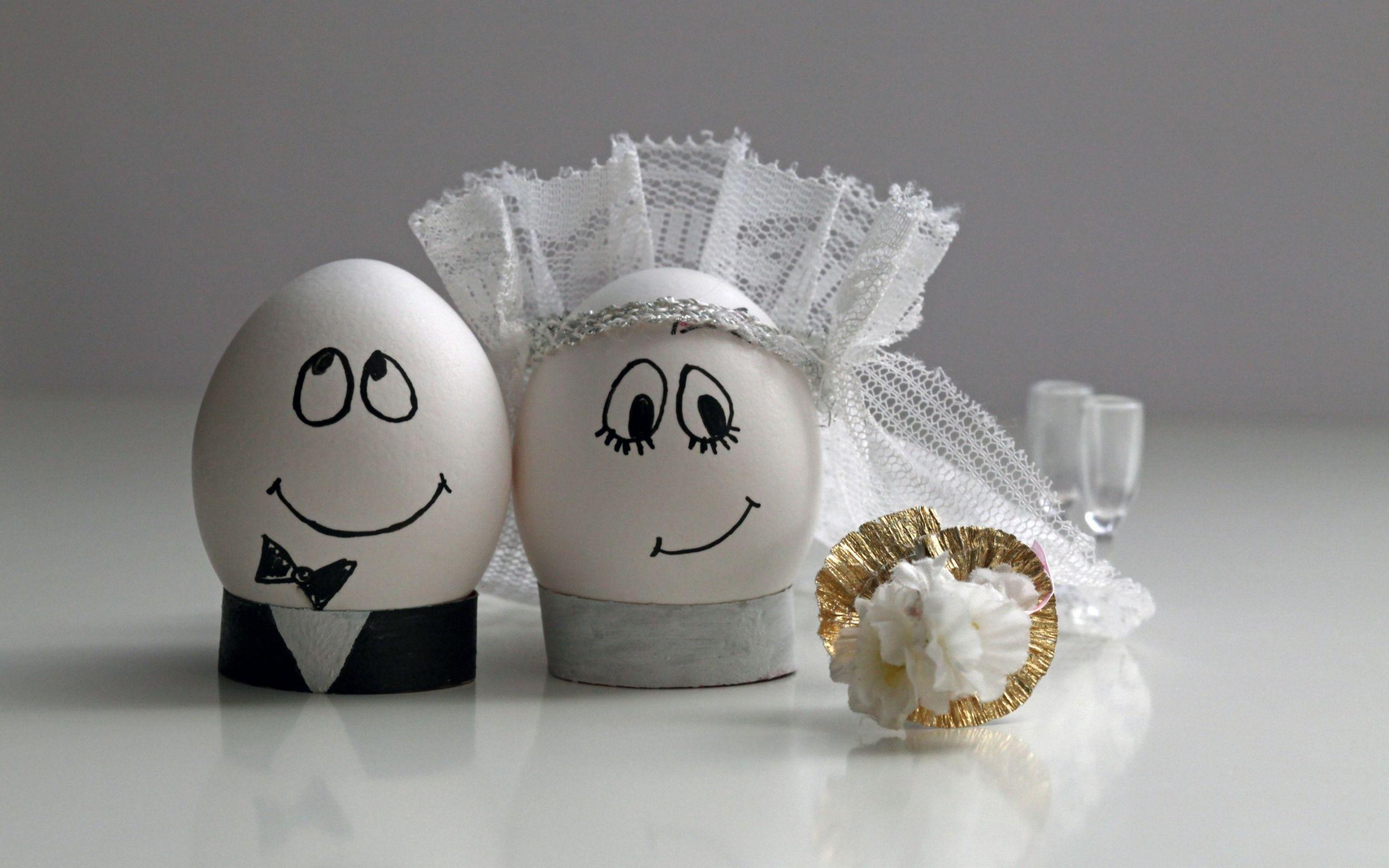 2560x1600 Love Funny Wallpaper
