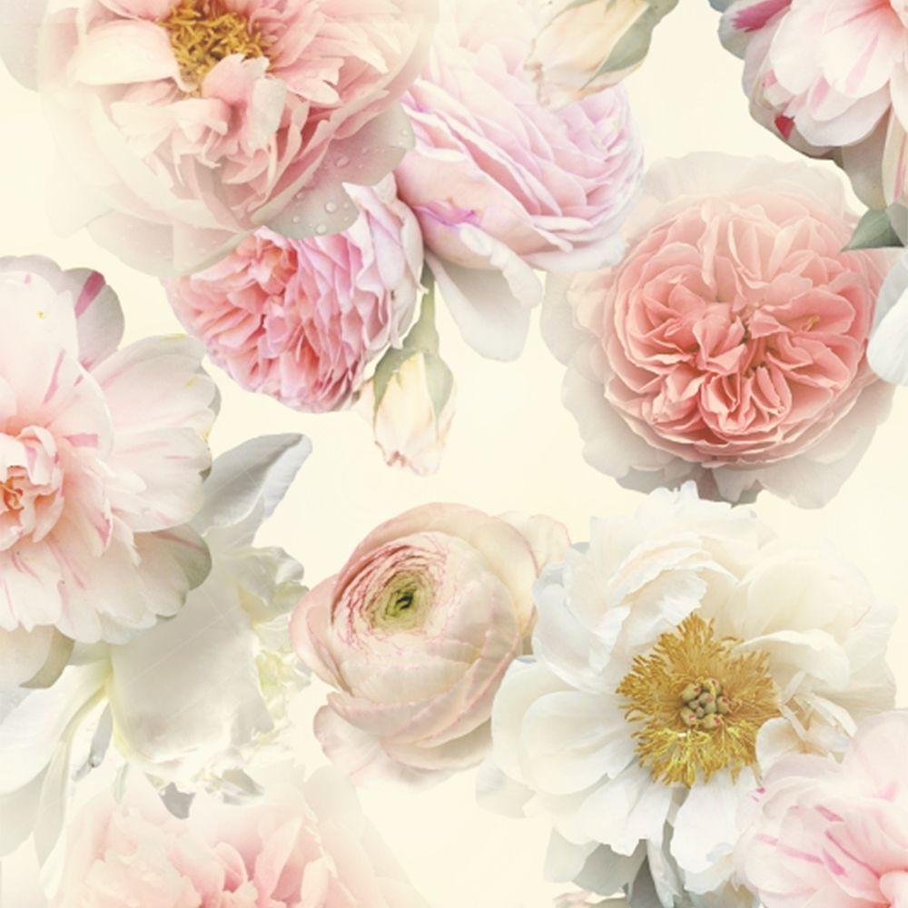 Blush Floral Wallpapers - Top Free Blush Floral Backgrounds