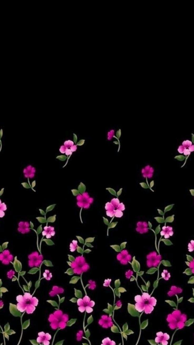 736x1308 Black And Pink Flower Wallpaper