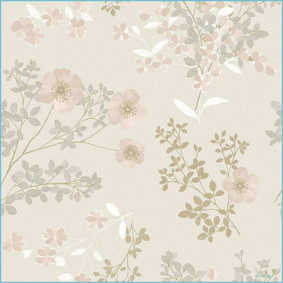 Blush Floral Wallpapers - Top Free Blush Floral Backgrounds