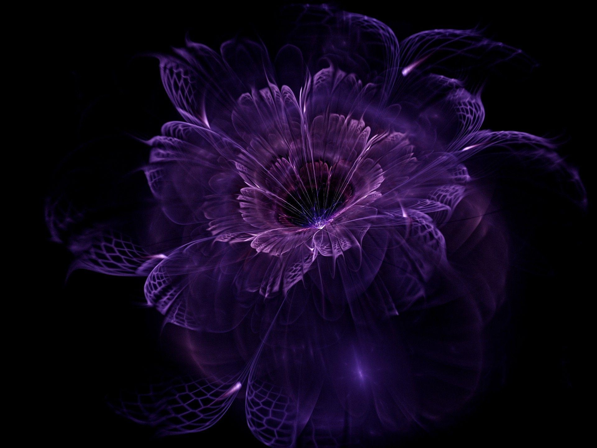 Purple Black Floral Wallpapers - Top Free Purple Black Floral