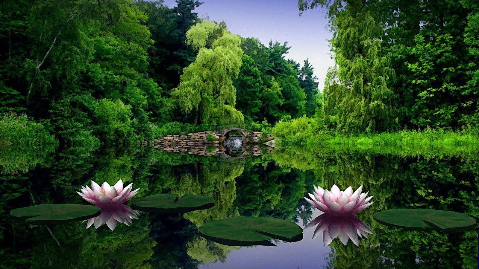 1600x900 Nature Wallpaper 1600x900