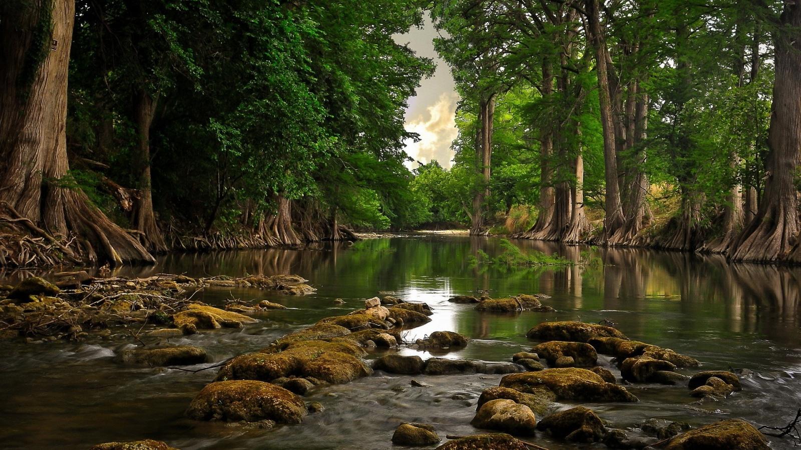 1600x900 HD Wallpaper Nature 1600x900 Quality HD Wallpaper Nature