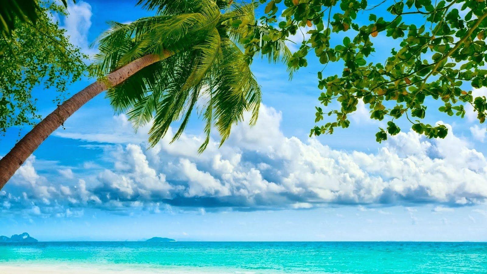 1600x900 Full HD Nature Wallpaper Wallpaper New