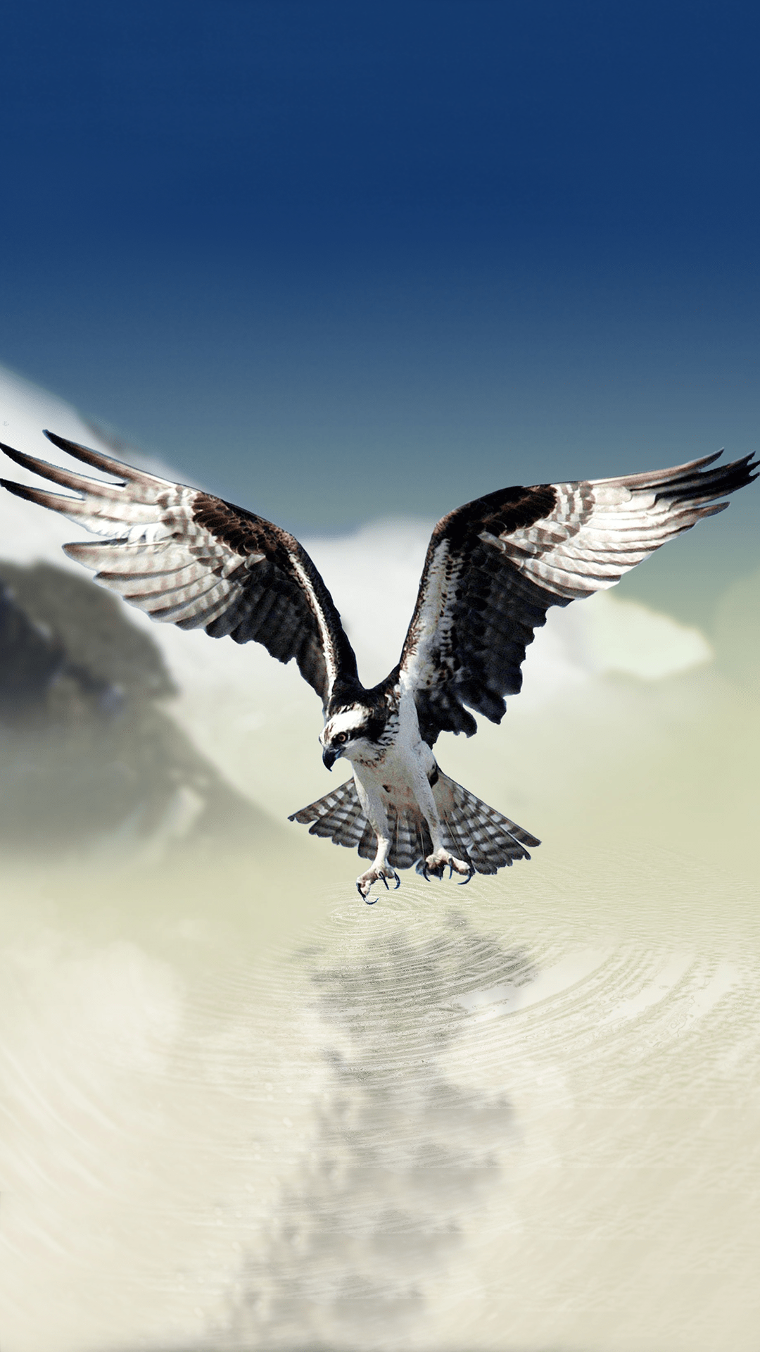 1080x1920 Ultra HD Eagle Phone Wallpaper