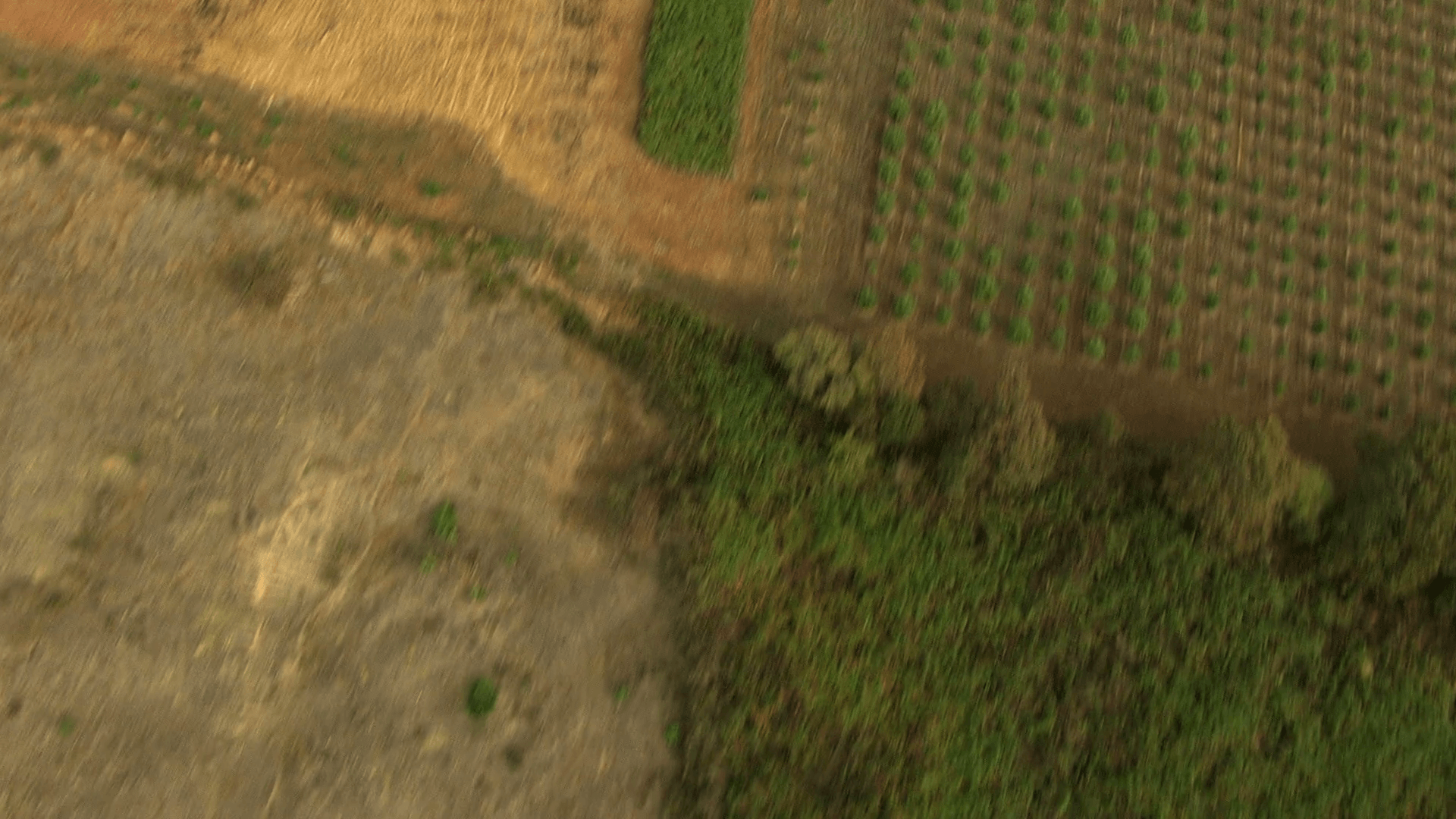 1920x1080 Aerial America Oregon crops farm valley industry planting Stock