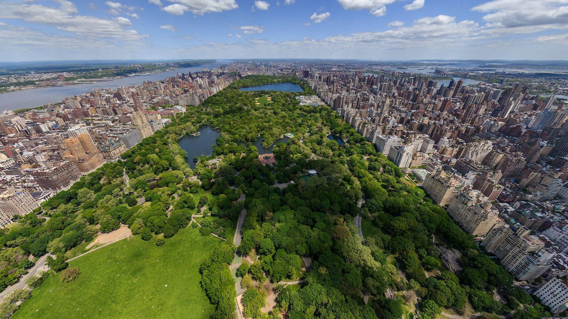 1920x1080 Wallpaper Central Park, New York, Trees, Forest, America City