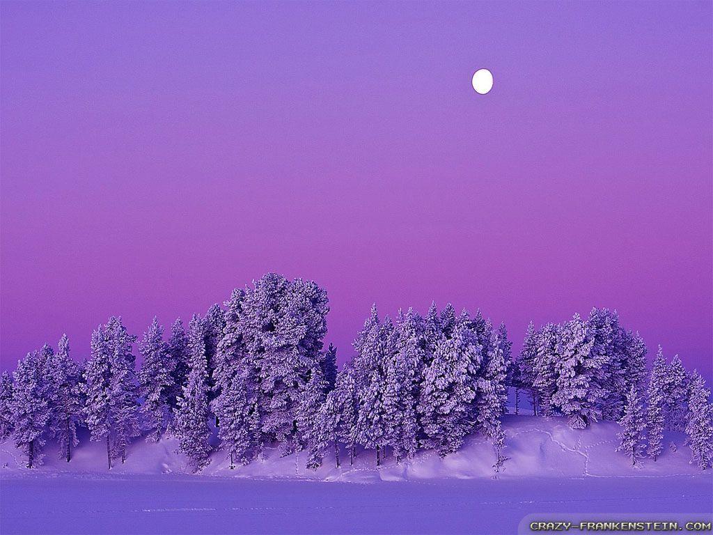 Purple Snow Wallpapers - Top Free Purple Snow Backgrounds - WallpaperAccess