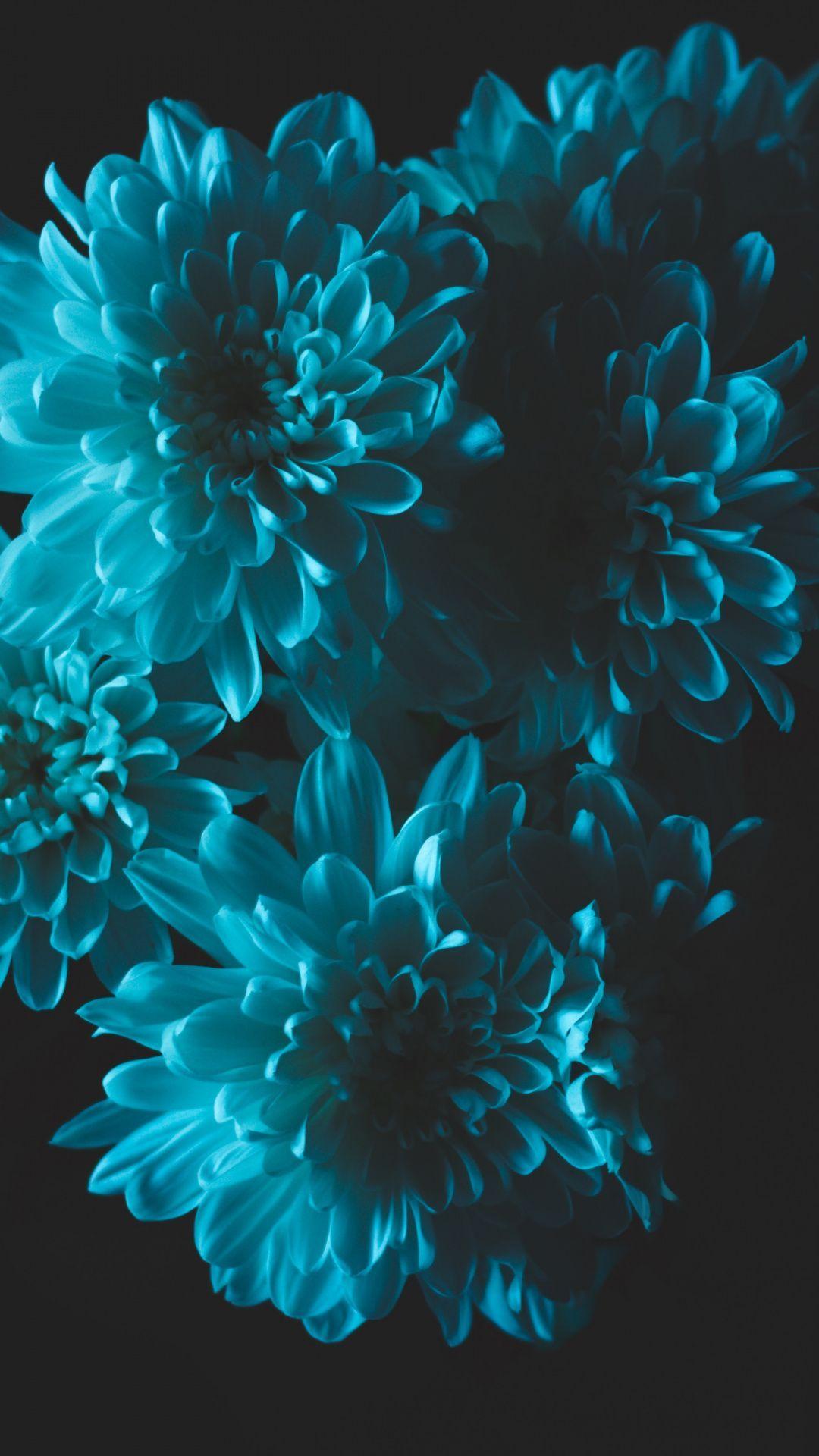 Free download in a turquoise y mood iphone wallpaper Pinterest [640x960]  for your Desktop, Mobile & Tablet | Explore 50+ Turquoise iPhone Wallpaper  | Turquoise Background, Turquoise Wallpaper Canada, Turquoise Wallpaper