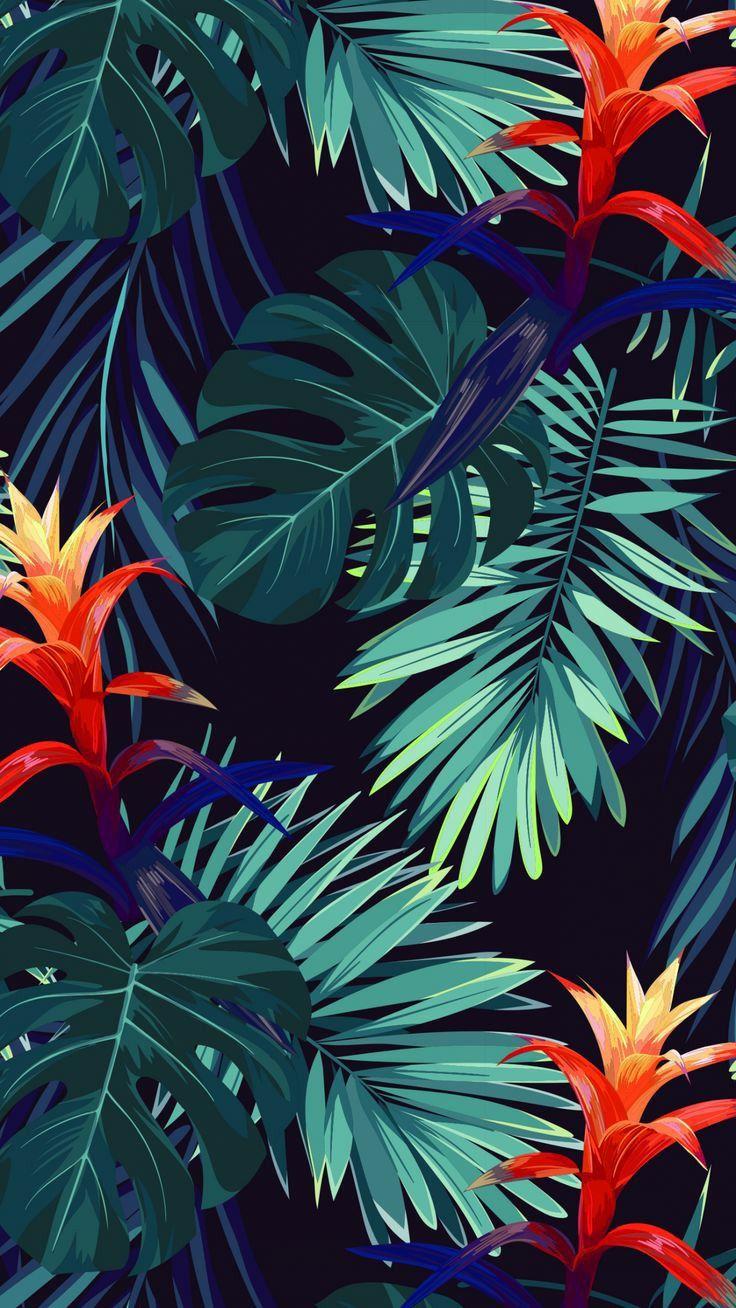 736x1308 Floral Wallpaper uploaded