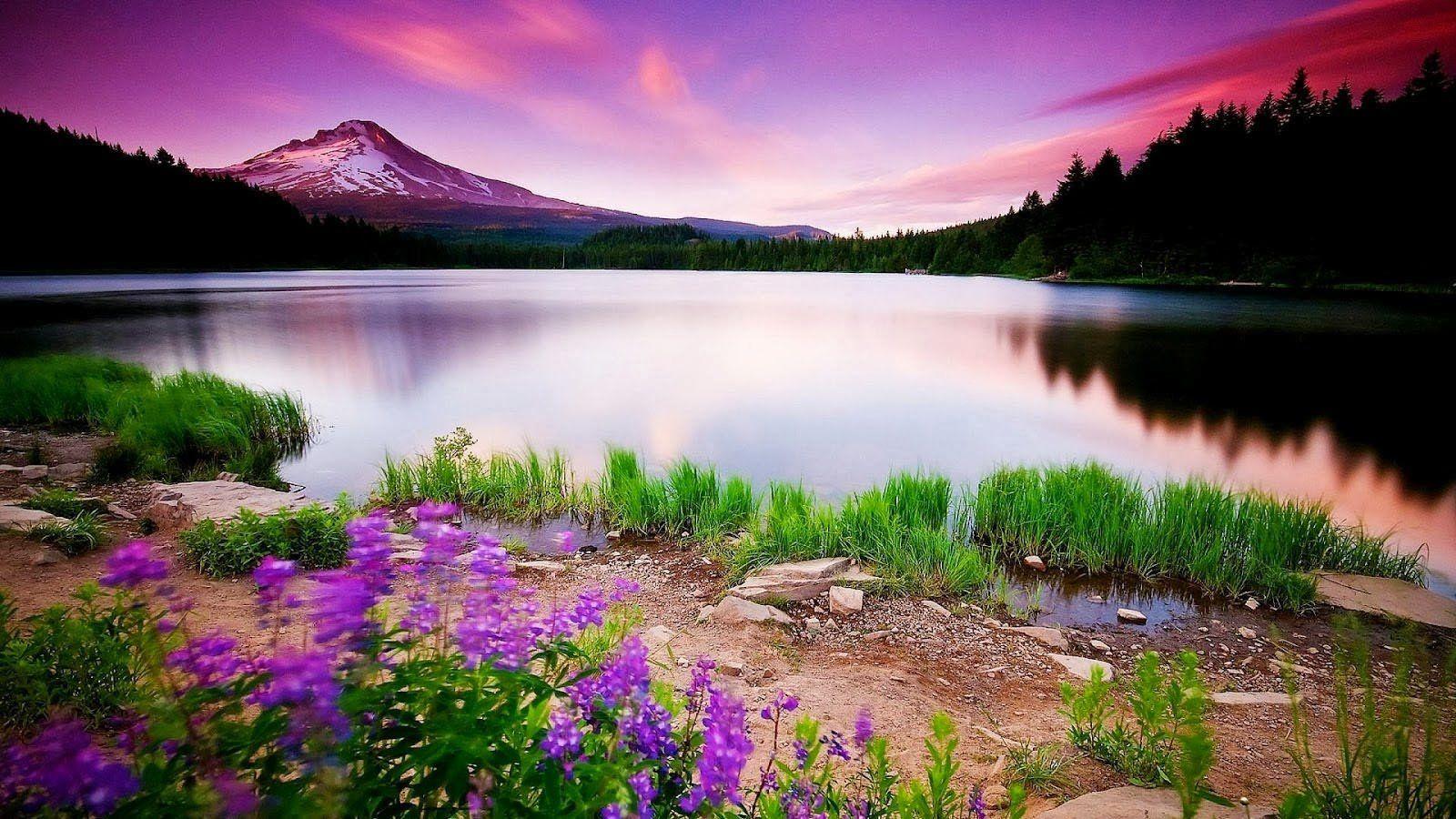 1600x900 Free download HD Size Nature Wallpaper Downloads Full HD Nature Wallpaper [1600x900] for your Desktop, Mobile & Tablet. Explore Nature Wallpaper In HD. Beautiful Desktop Wallpaper and Background, HD