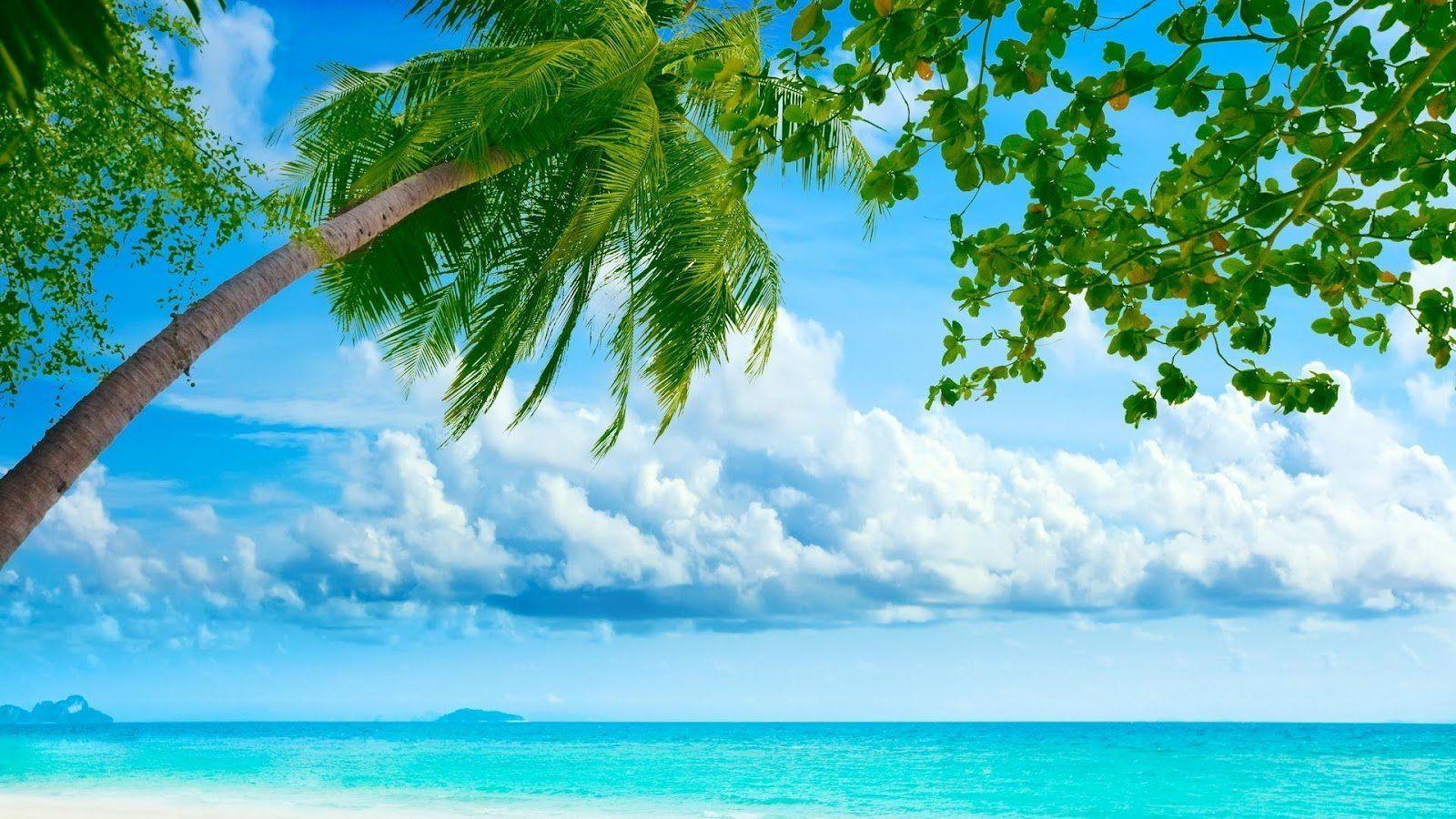 1600x900 Free download Nature Wallpaper HD For Desktop [1600x900] for your Desktop, Mobile & Tablet. Explore Nature Wallpaper Computer. Image Of Nature Wallpaper, Free Nature Desktop Wallpaper, Download Nature Wallpaper
