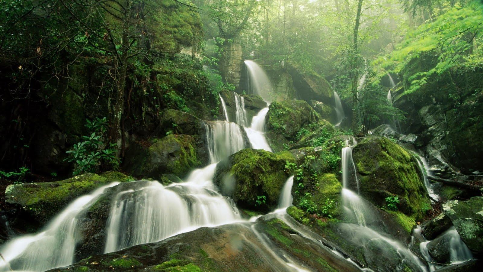 1600x900 Nature wallpaper 1600x900 desktop background