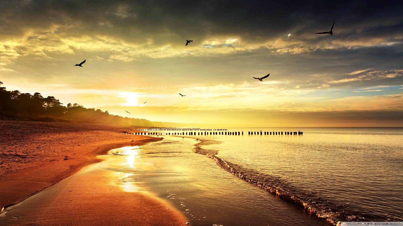 1600x900 HD Photography Nature Wallpaper 1600x
