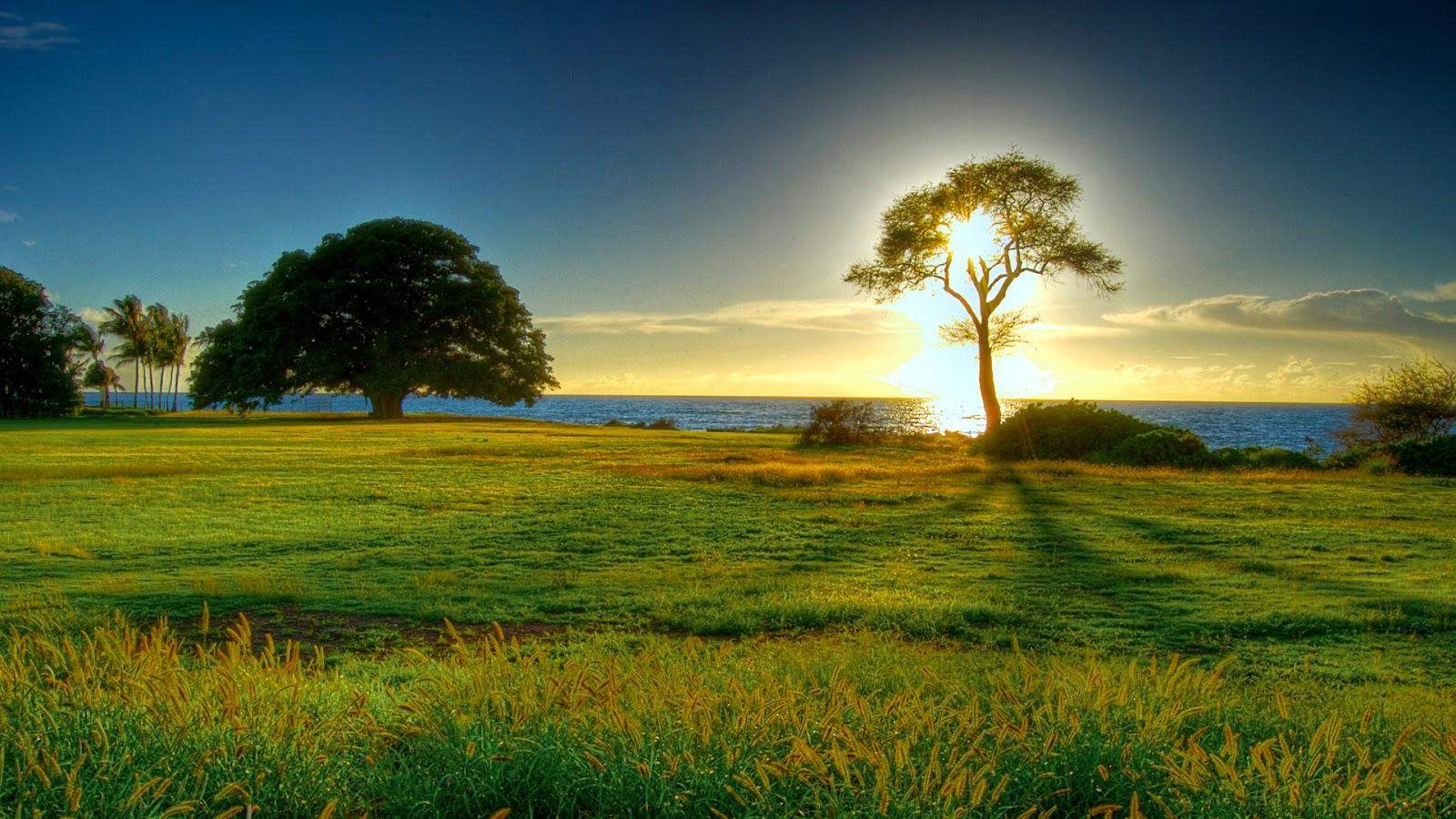 1600x900 HD Photography Nature Wallpaper 1600x