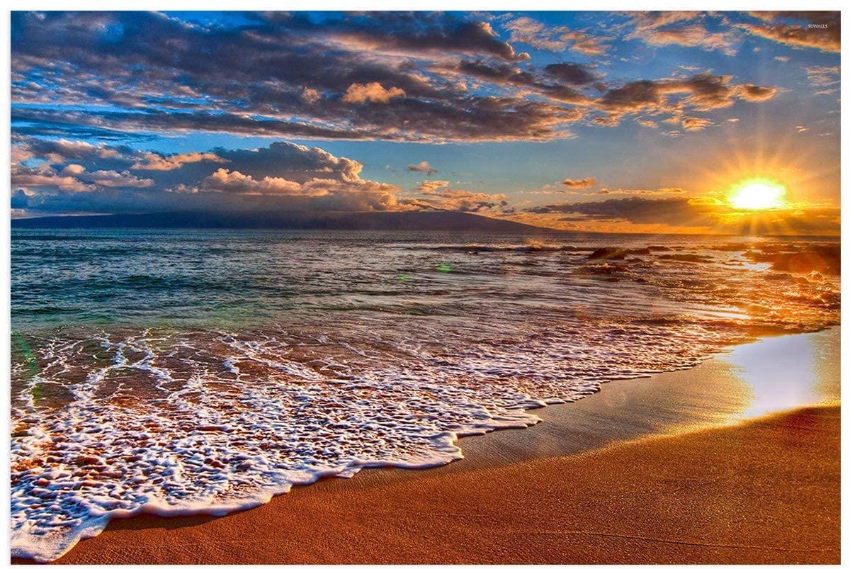 1200x803 Amazon.com : Fantasy Staring Aquarium Background Beach Sand Ocean Waves Sunset Landscape Fish Tank Wallpaper Easy to Apply and Remove PVC Sticker Picture Poster Background Decoration 18.4 x 30.4 : Pet Supplies