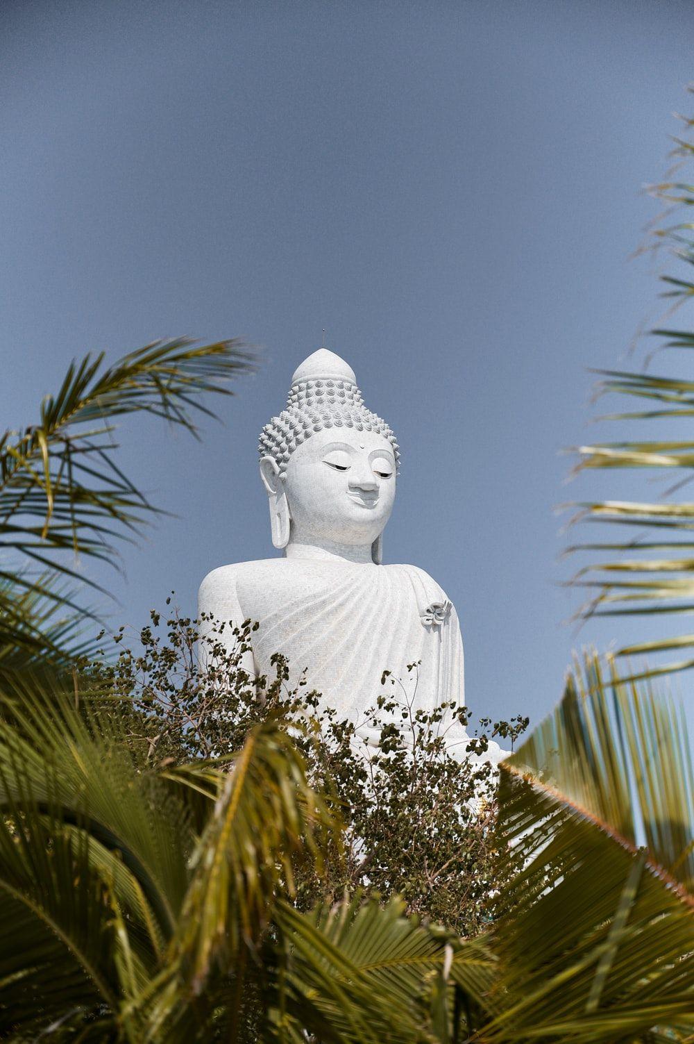 1000x1503 Big Buddha Picture. Download Free Image