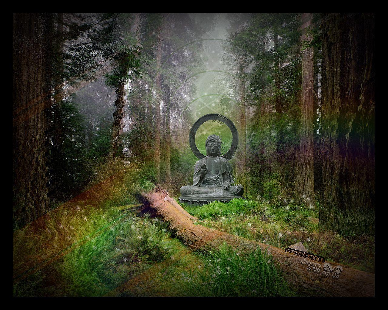 1280x1024 Free download Buddha on the Wall Buddhist Wallpaper and More [1280x1024] for your Desktop, Mobile & Tablet. Explore Buddha Statue Wallpaper. Buddha Statue Wallpaper, Buddha Wallpaper, Wallpaper Buddha