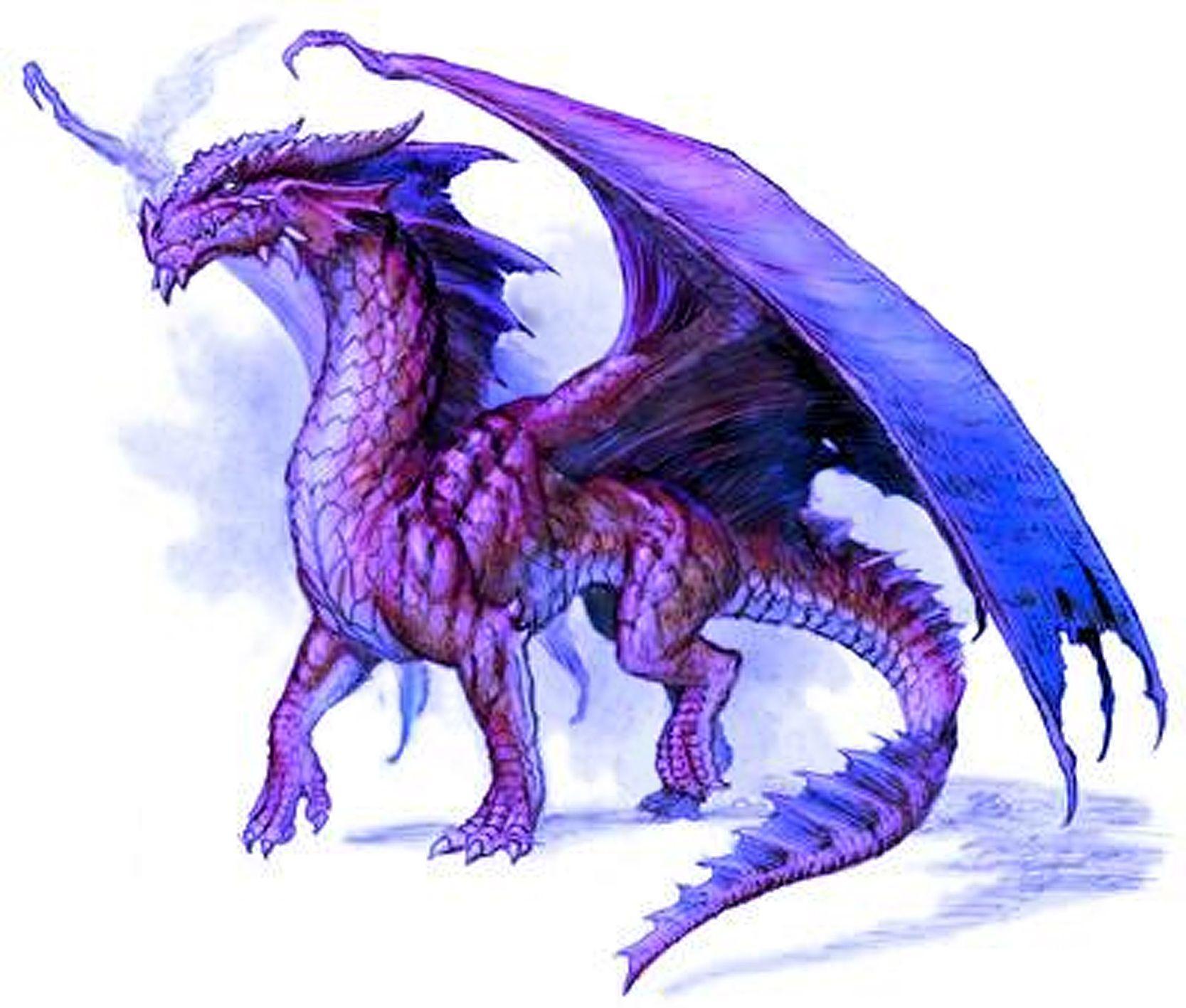 1667x1417 Black And Purple Dragons