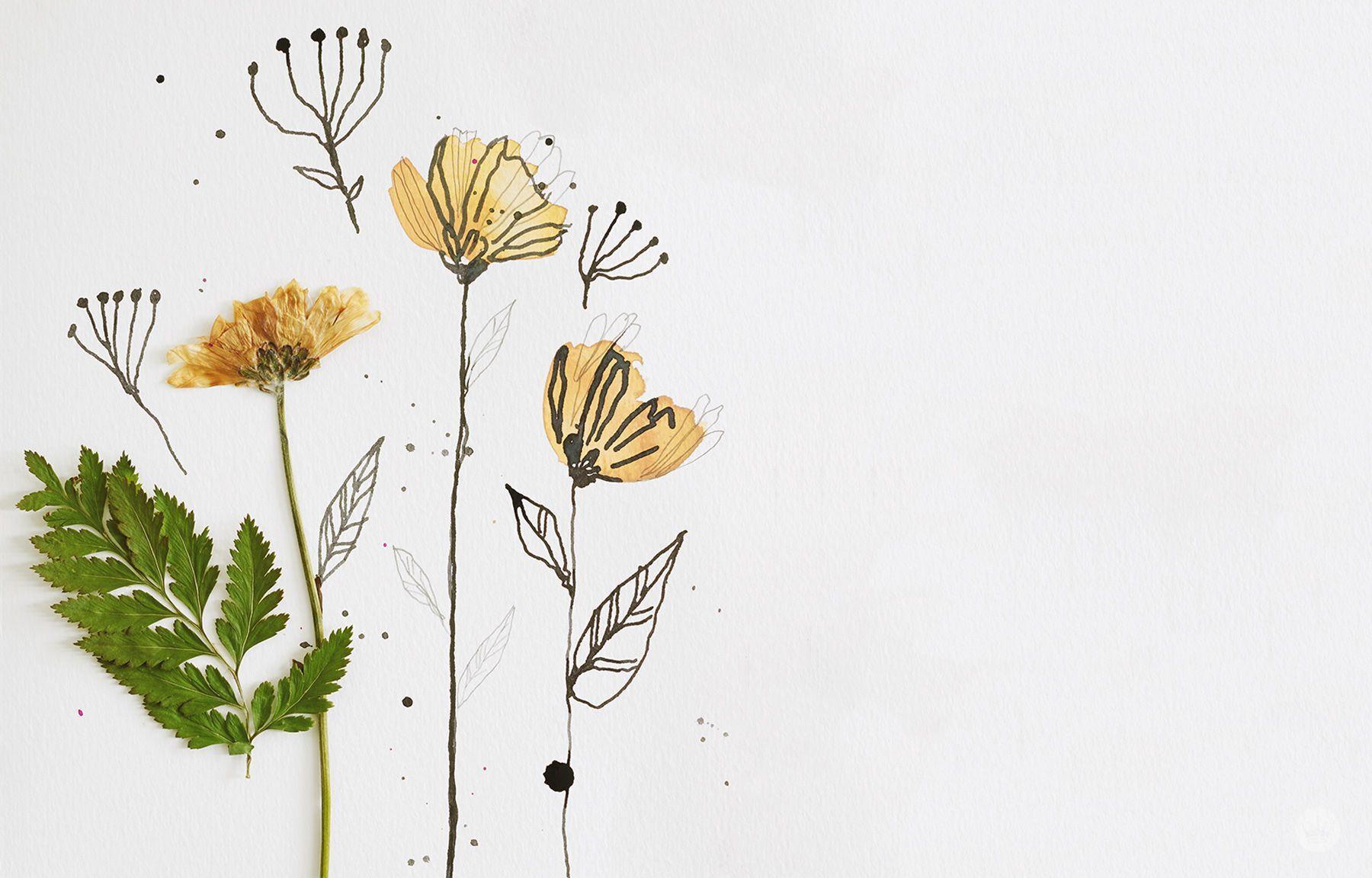 1800x1152 Minimalist Aesthetic Wallpaper For Desktop / Download, share or upload your own one!