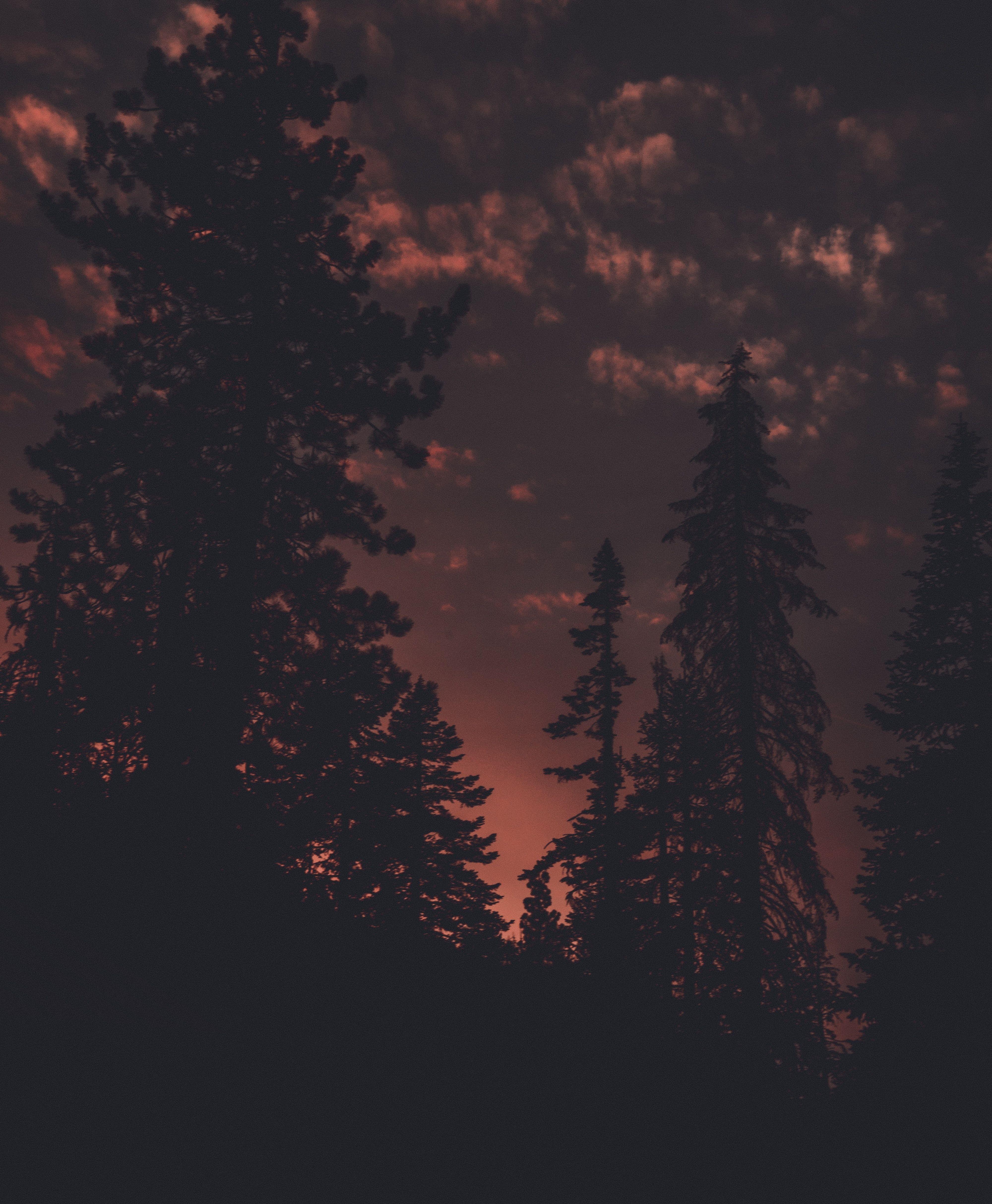 4000x4856 Aesthetic Wallpaper Sunset Purple aesthetic aesthetic colors aesthetic vintage aesthetic photo aesthetic picture aesthetic black aesthetic pastel 90s aesthetic dark purple aesthetic