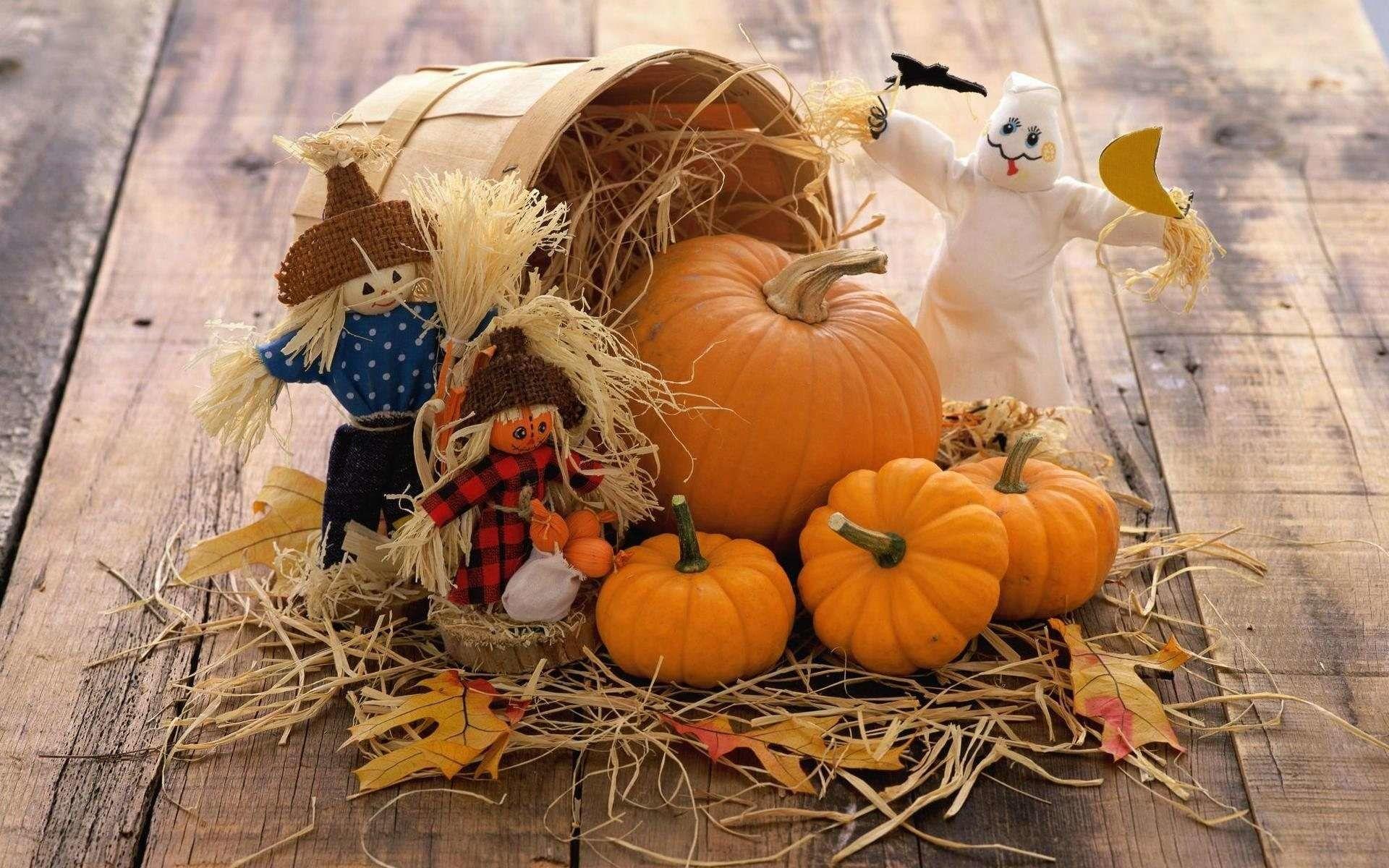 1920x1200 1920x Autumn Pumpkin Wallpaper Widescreen Data Fall Desktop Background