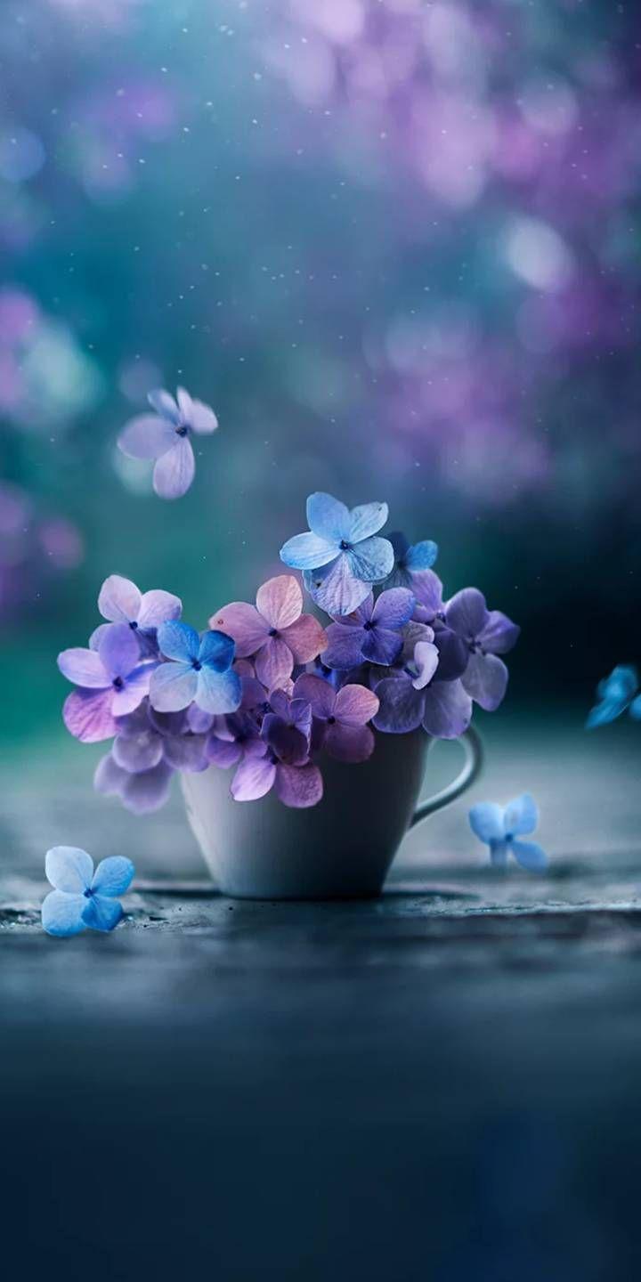 720x1440 Diy zrób to sam. Flower iphone wallpaper, Blue flower wallpaper, Beautiful flowers wallpaper