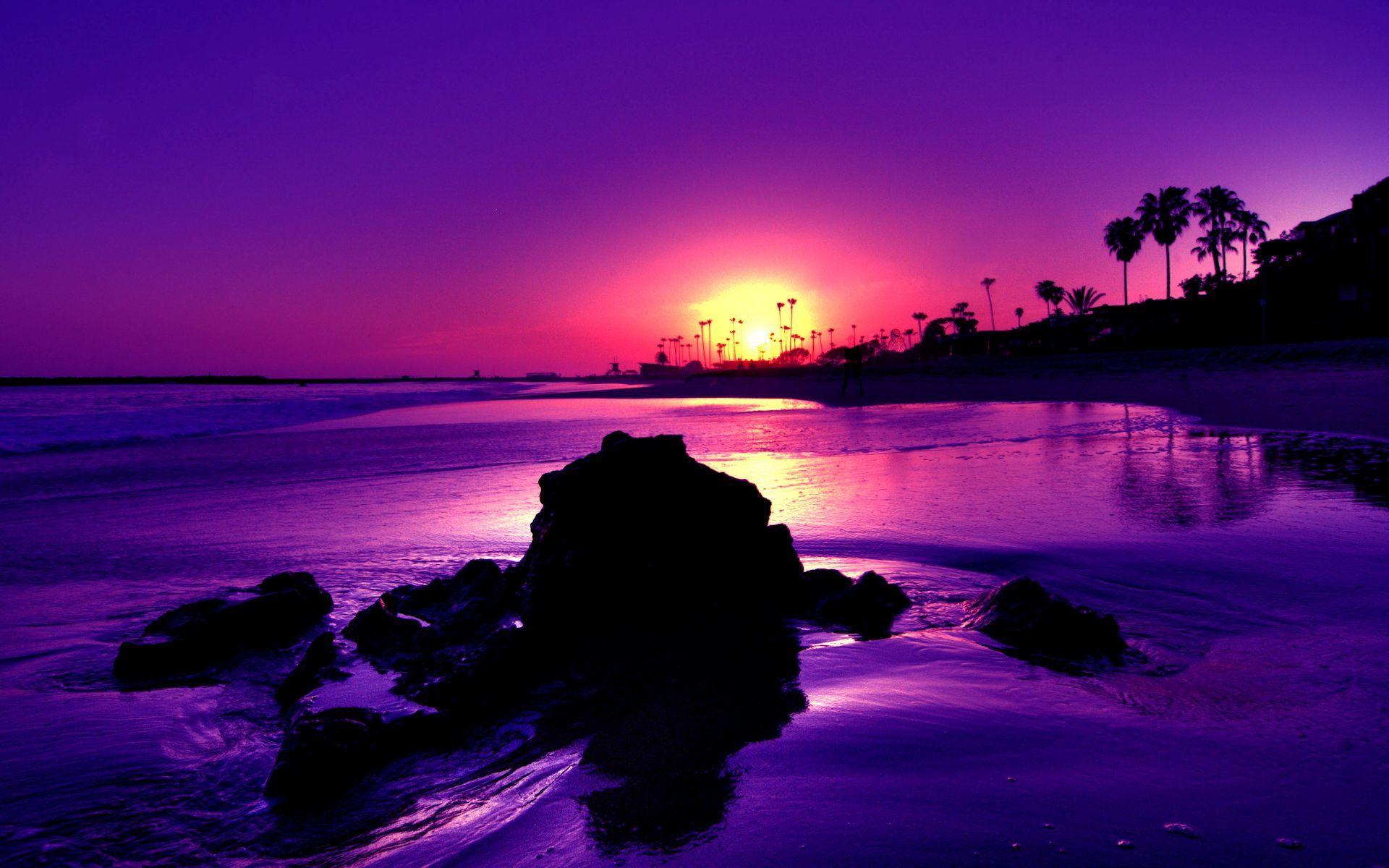 Purple Tropical Sunset Beach Wallpapers - Top Free Purple Tropical Sunset  Beach Backgrounds - WallpaperAccess